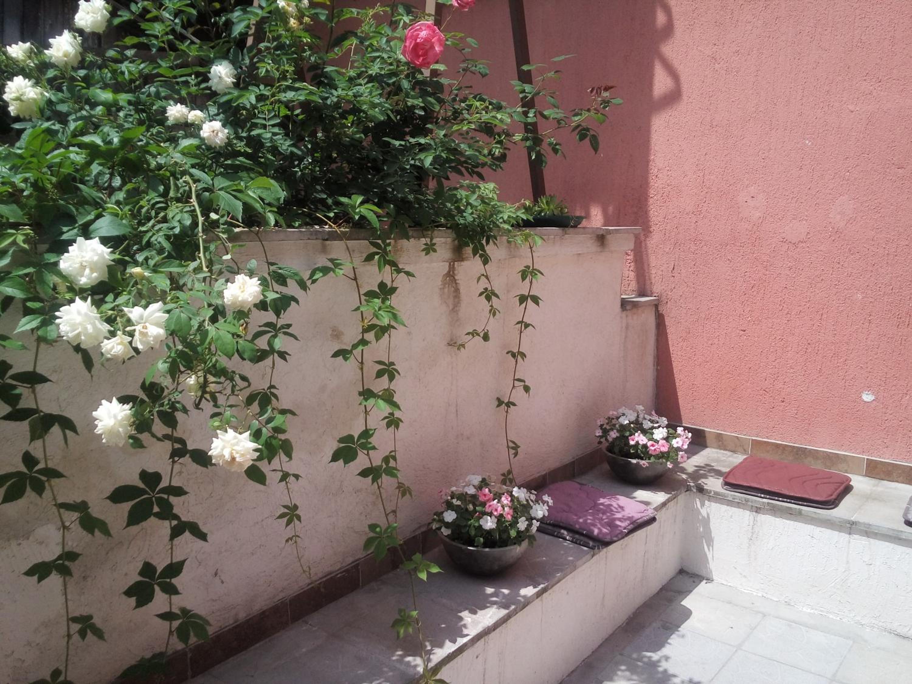 Photo 64
