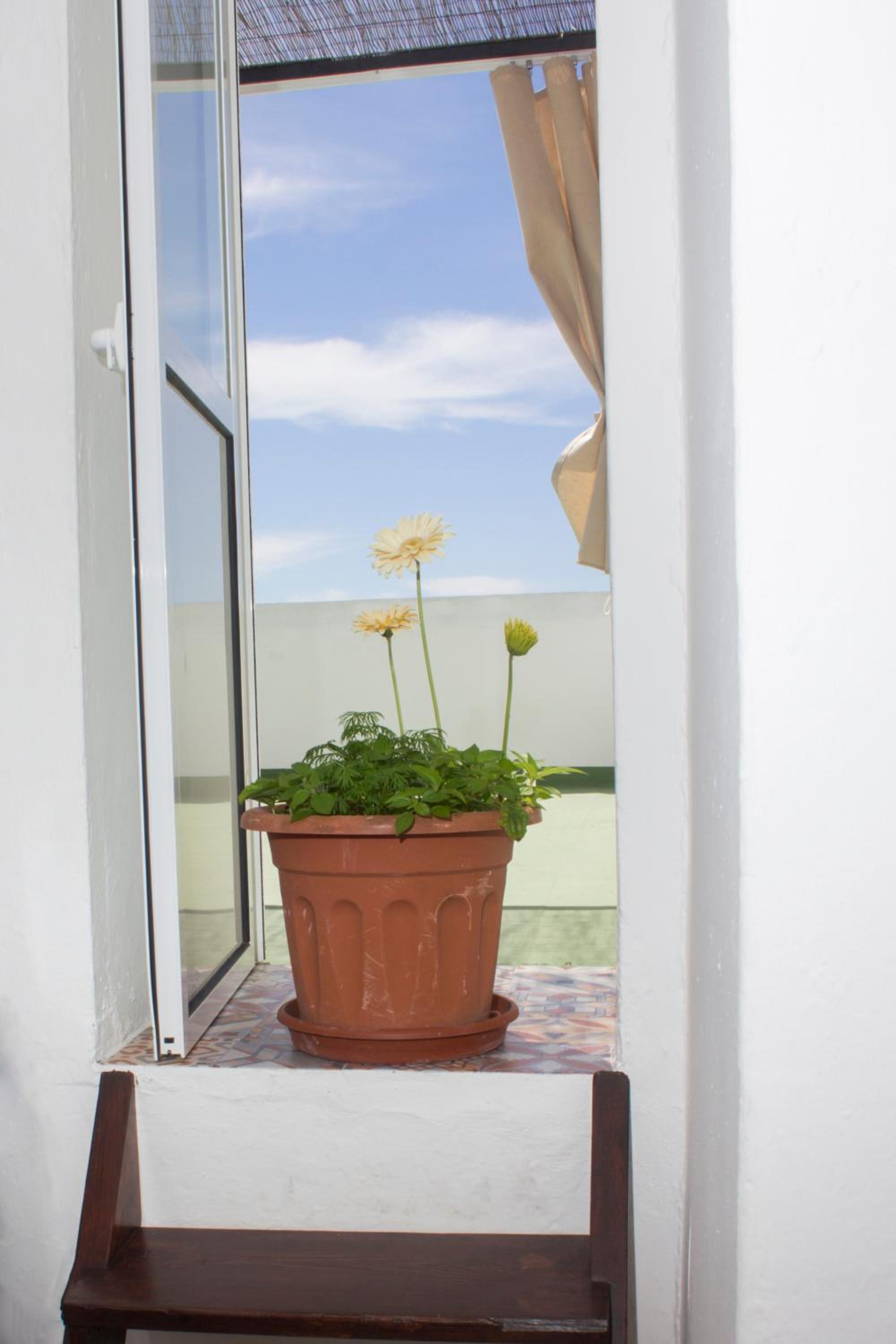 Apartamentos Calypso