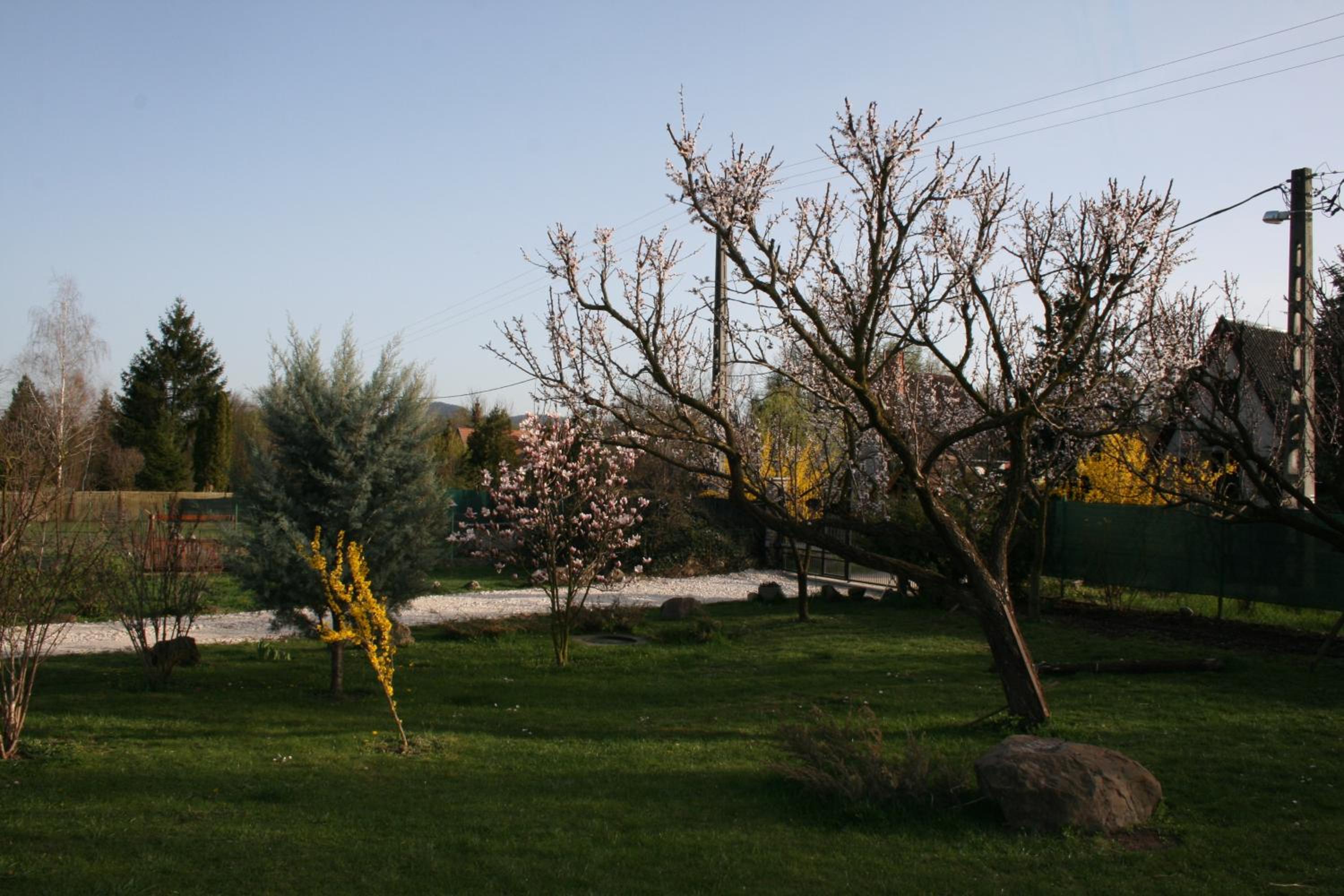 Photo 45