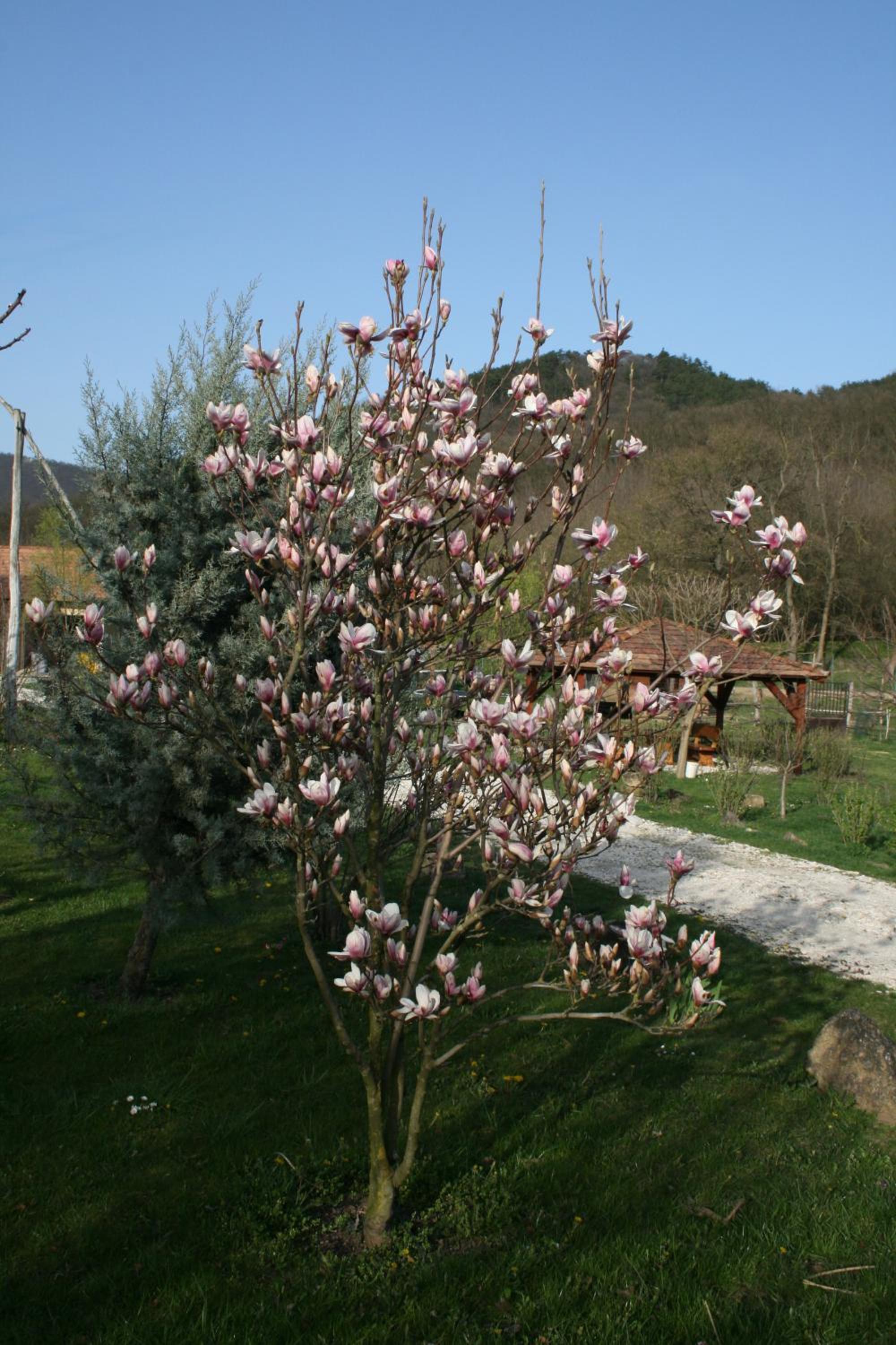 Photo 13