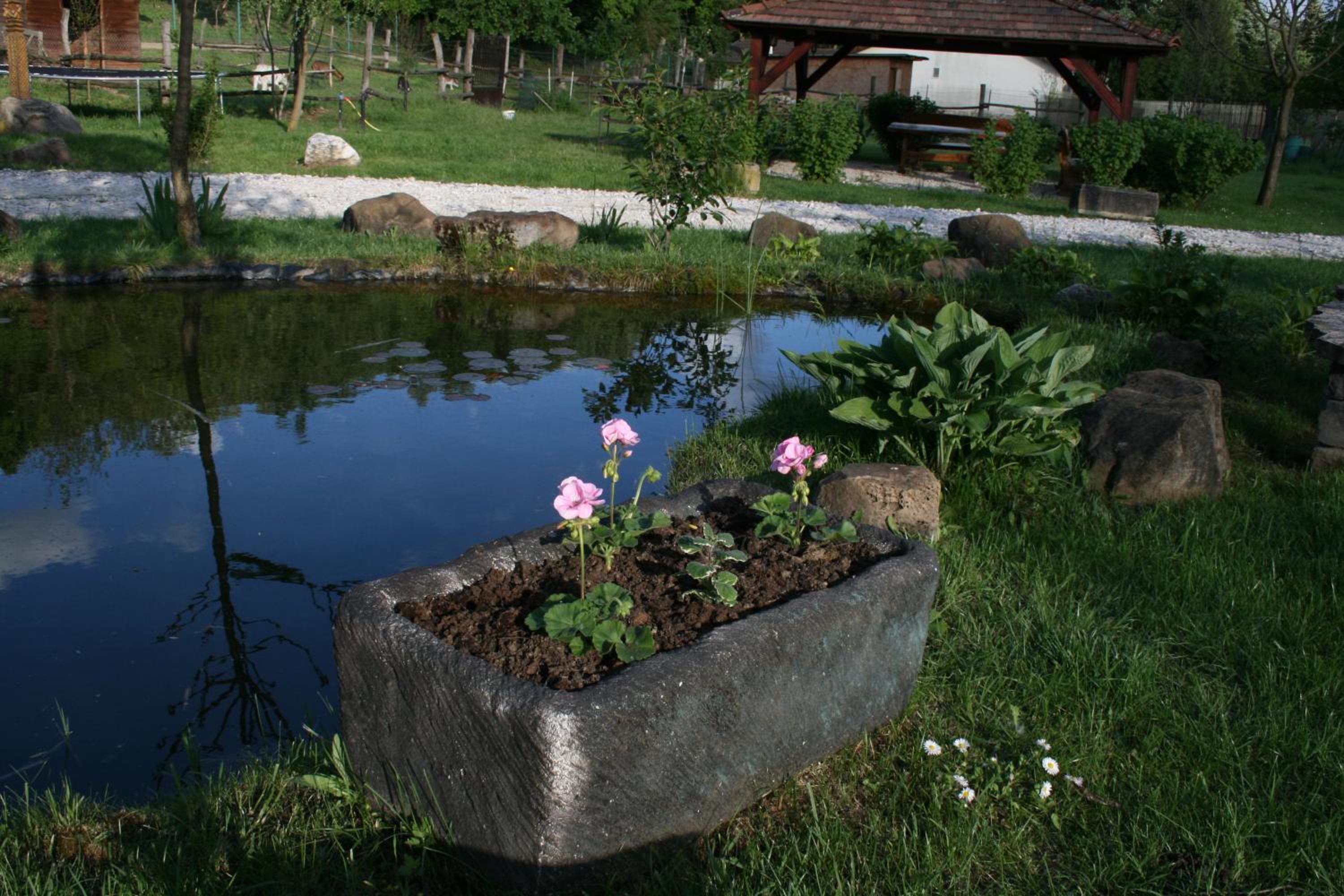 Photo 33
