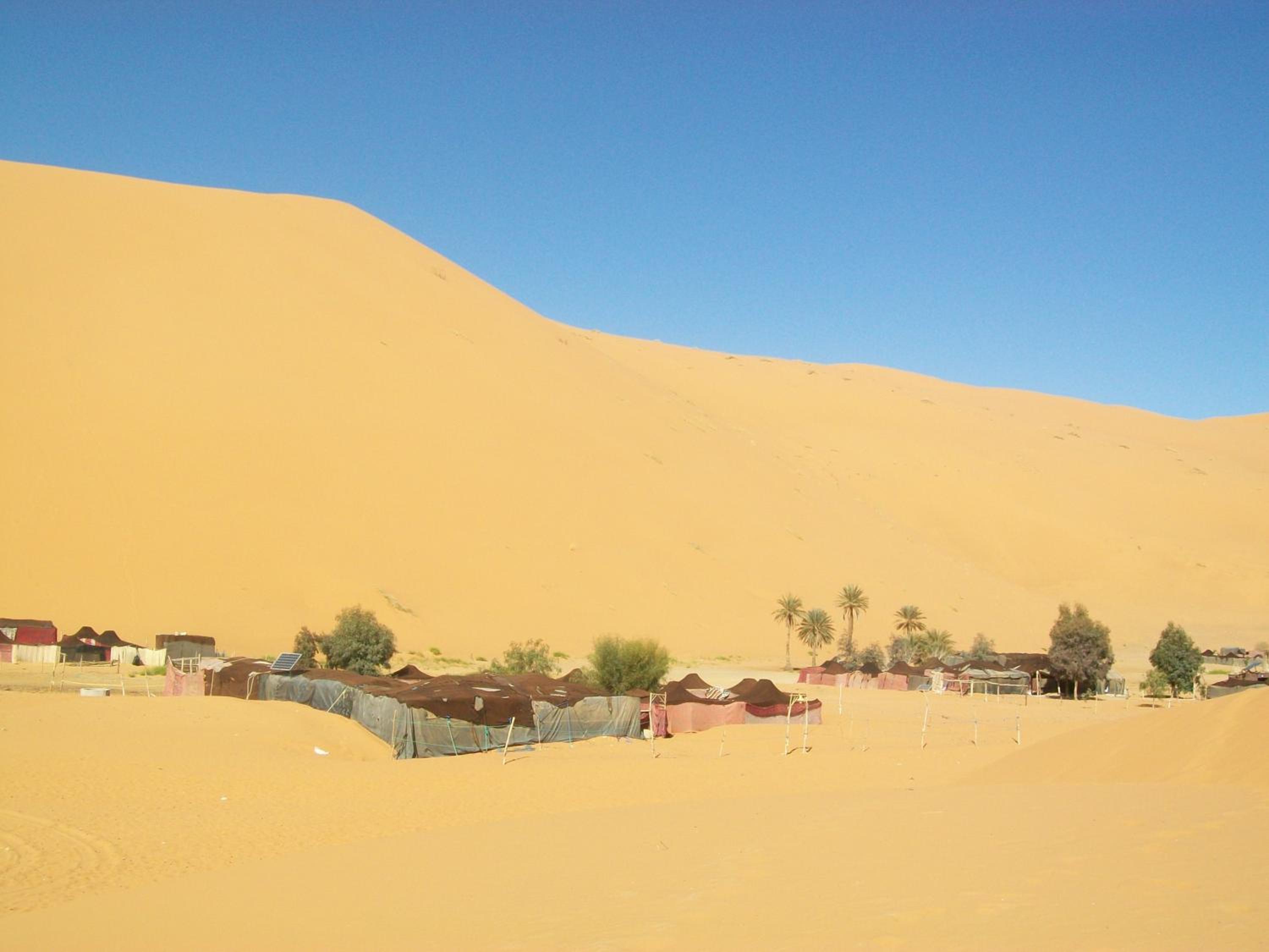 Photo 41
