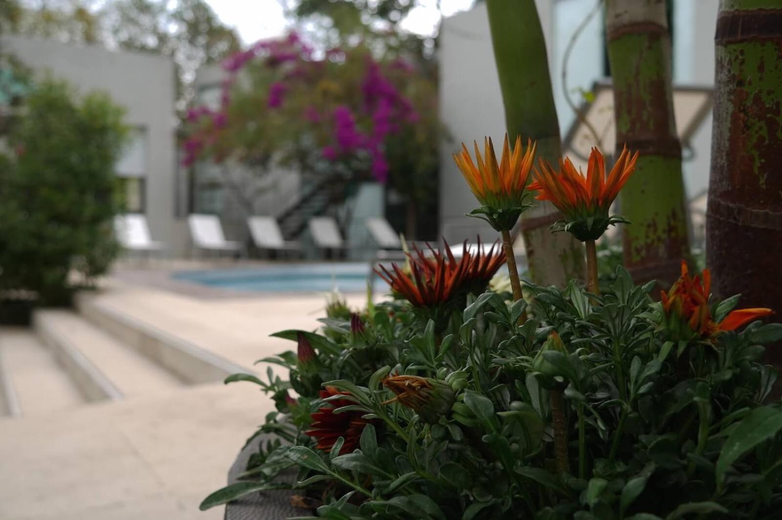 Casa Tepoztlán, photo 17