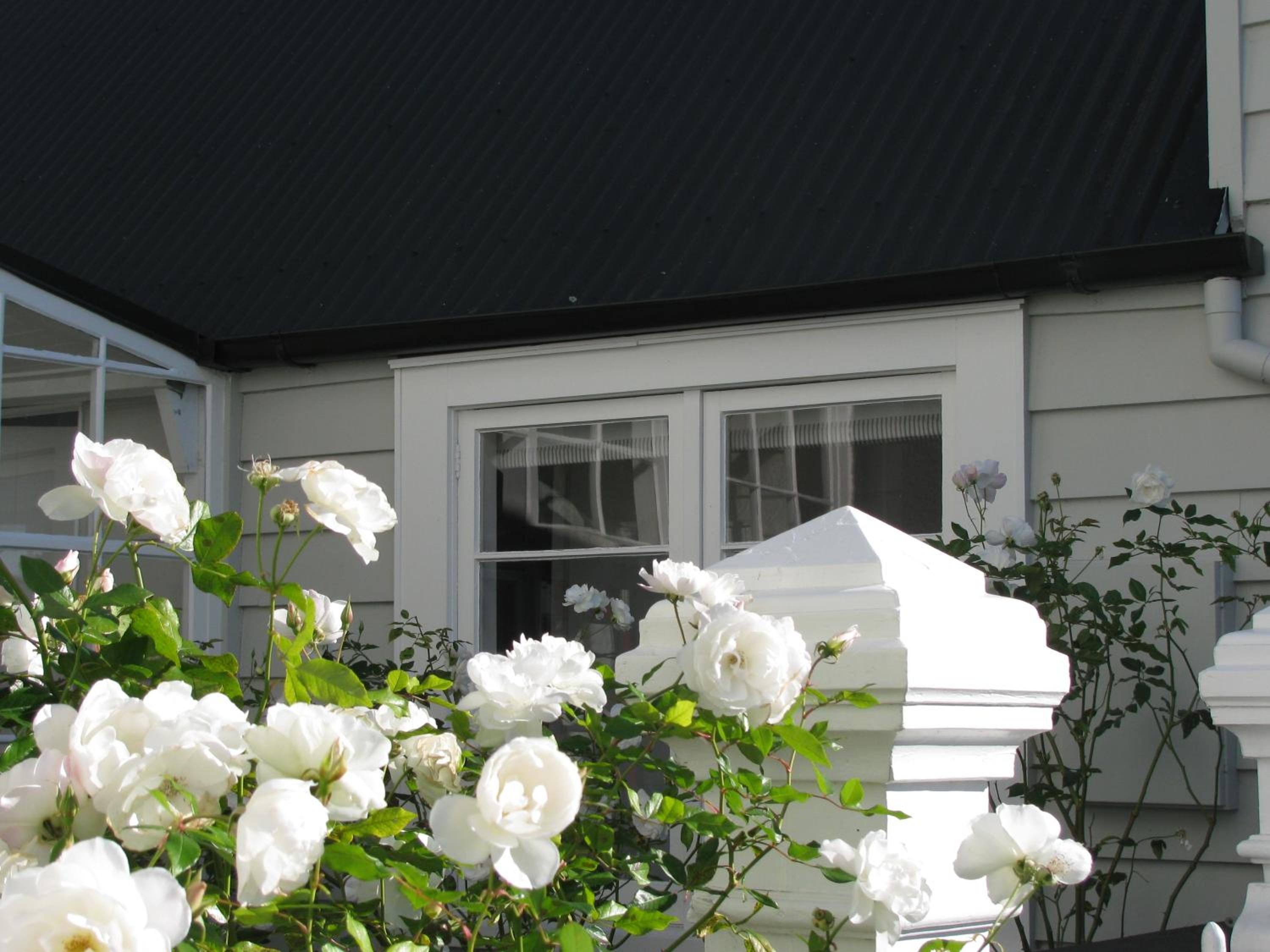 Historic Colenso Cottage view 3