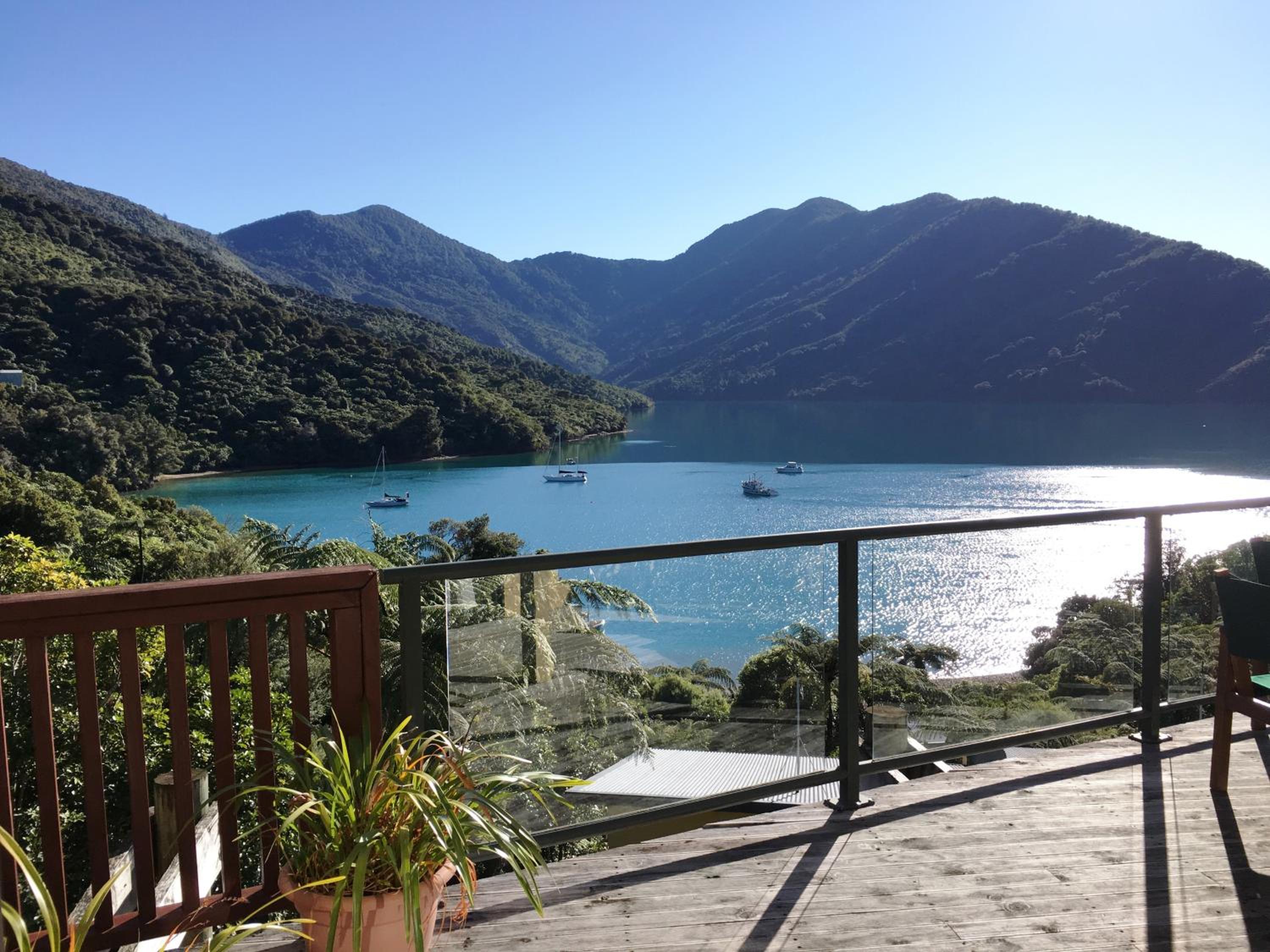 Punga Cove Resort 37