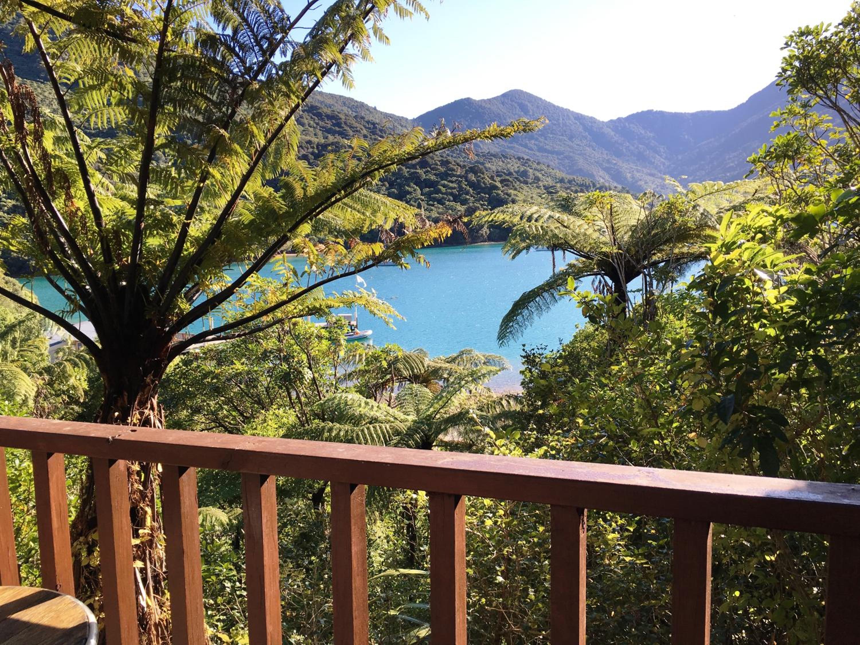 Punga Cove Resort 38