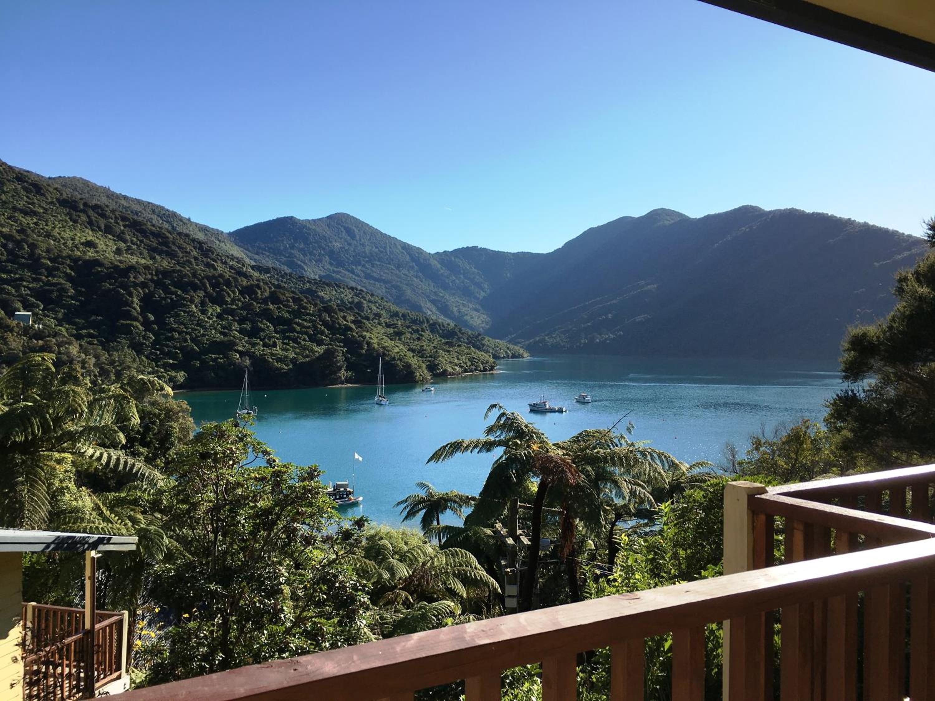 Punga Cove Resort 39