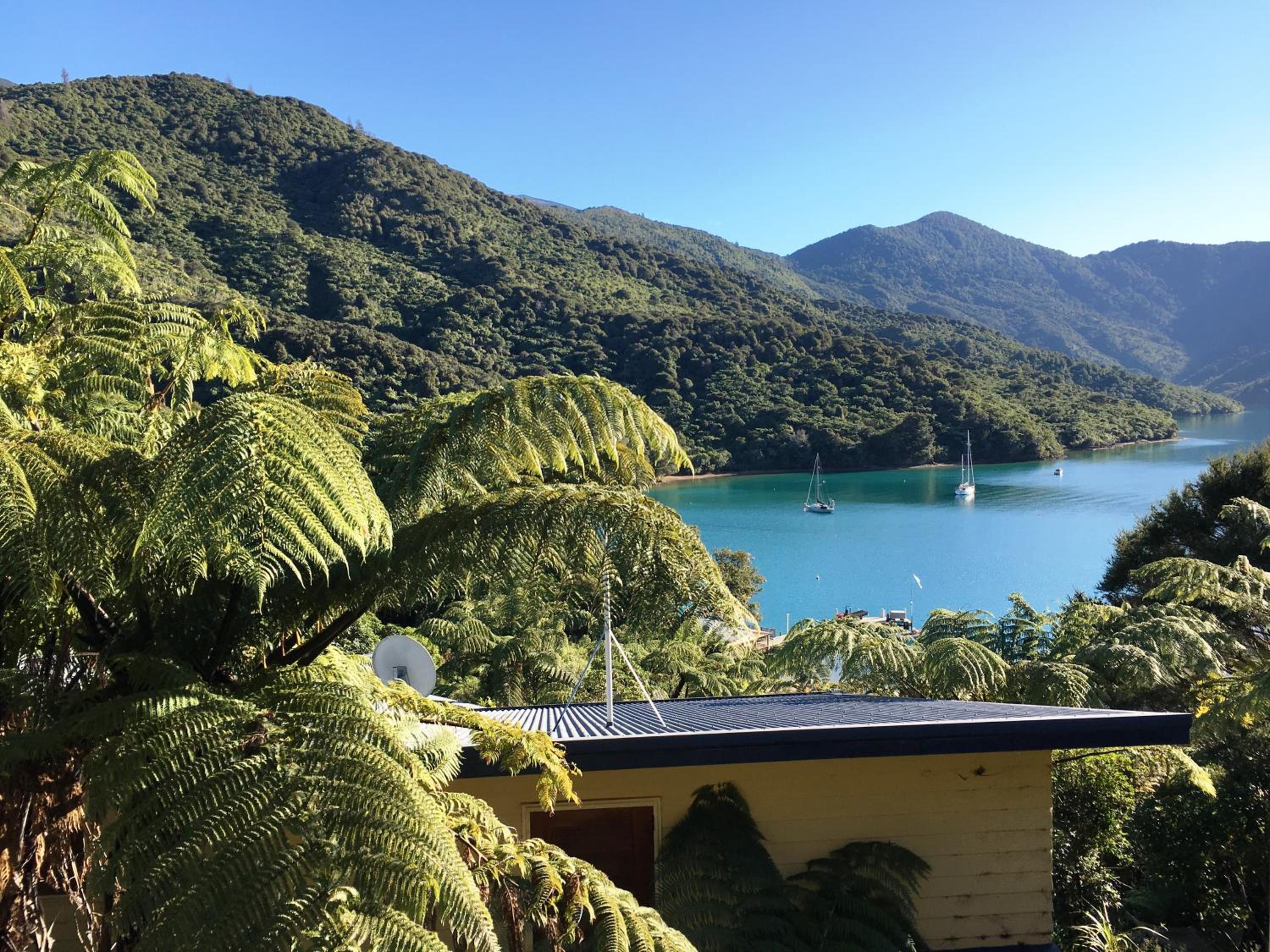 Punga Cove Resort 40
