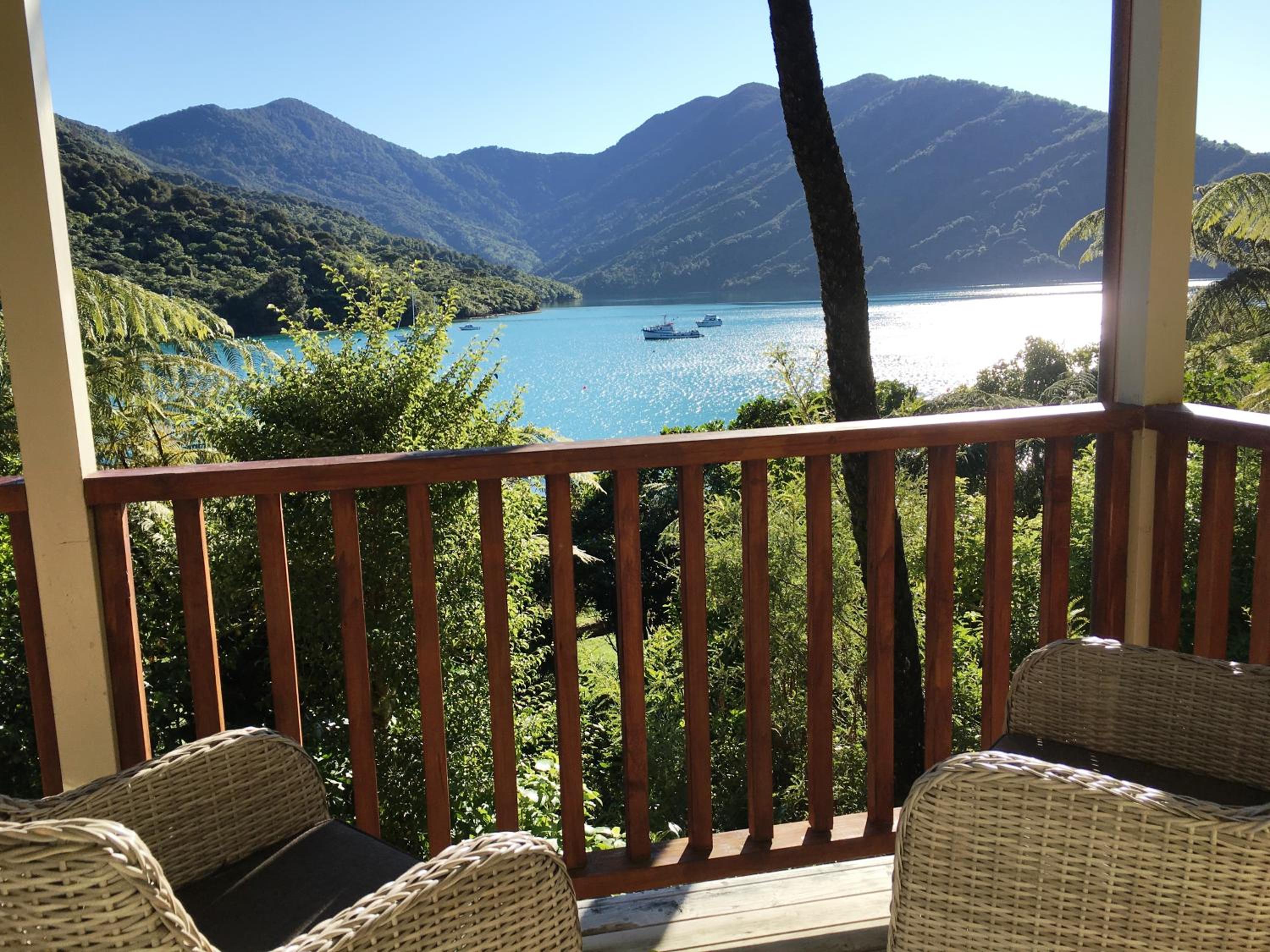 Punga Cove Resort 41