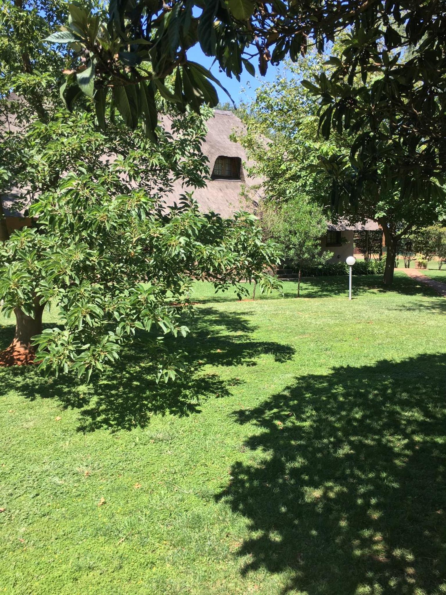Photo 31