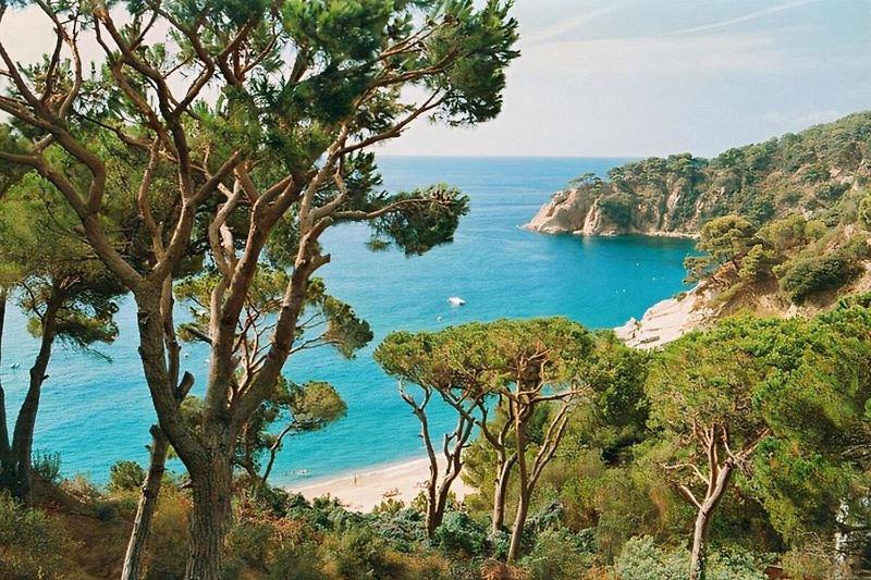 Villa Escorpion Tossa de Mar