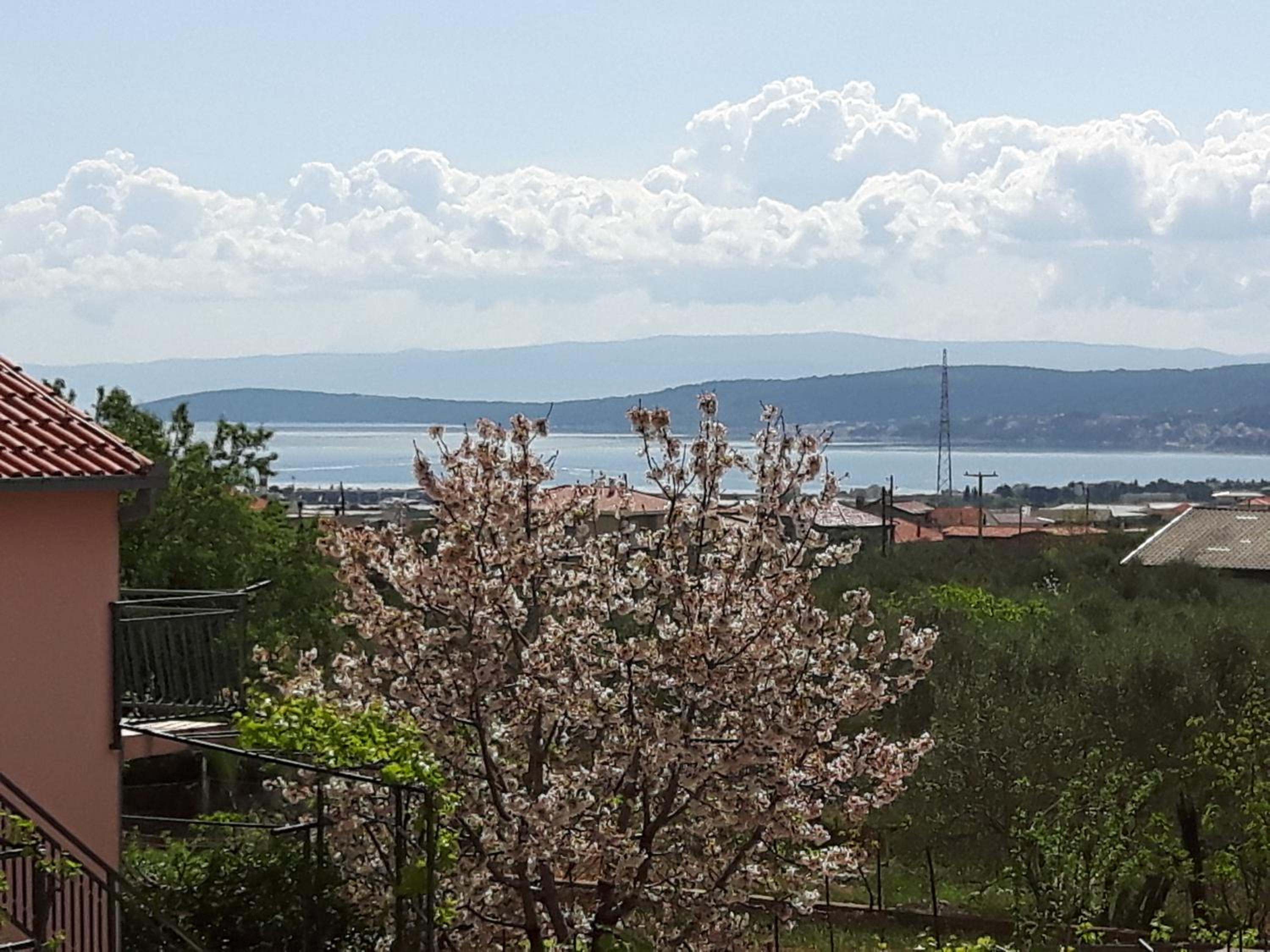 Apartment Edita Plano Trogir with private pool view 2