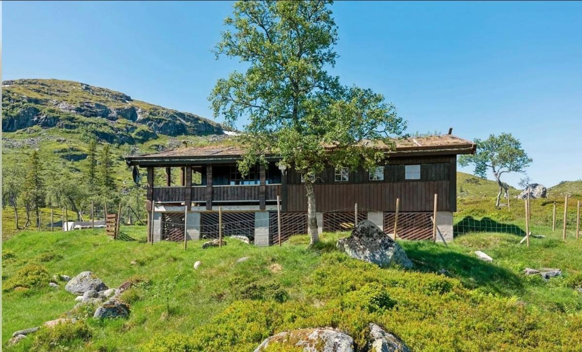 Authentic Secluded Mountain Cabin in Telemark with Panoramic Views