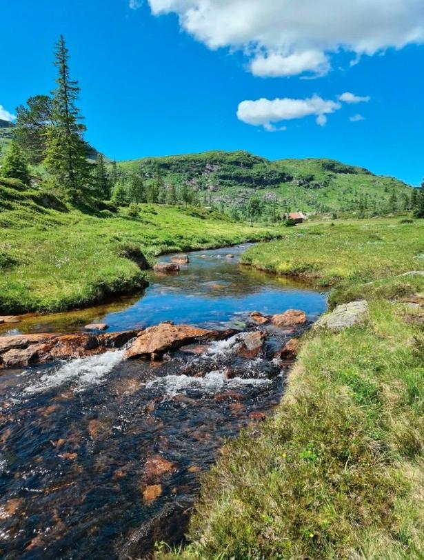 Authentic Secluded Mountain Cabin in Telemark with Panoramic Views