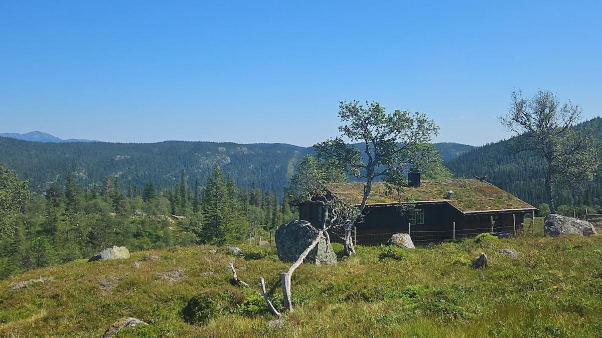 Authentic Secluded Mountain Cabin in Telemark with Panoramic Views