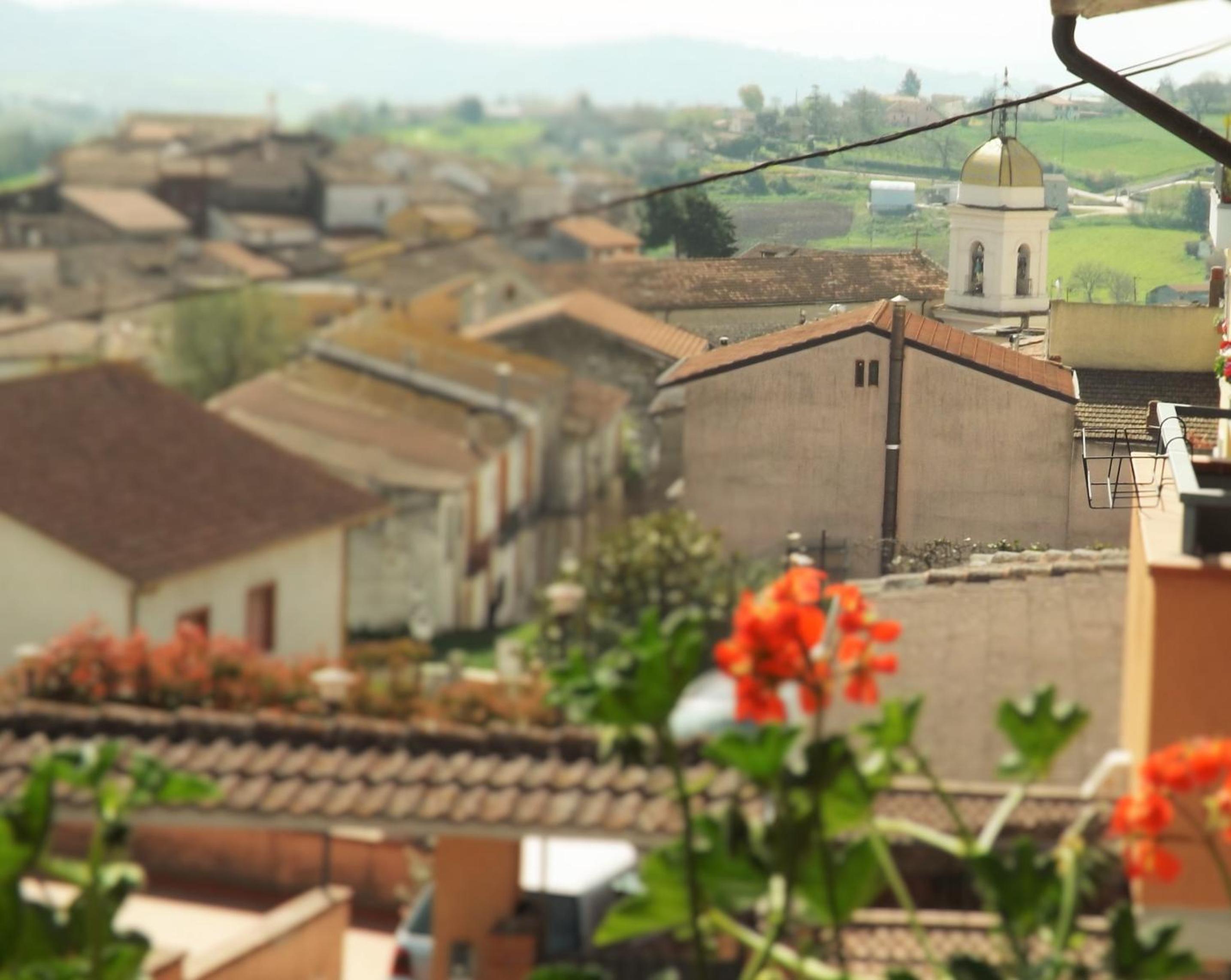 Domus Tua view 3