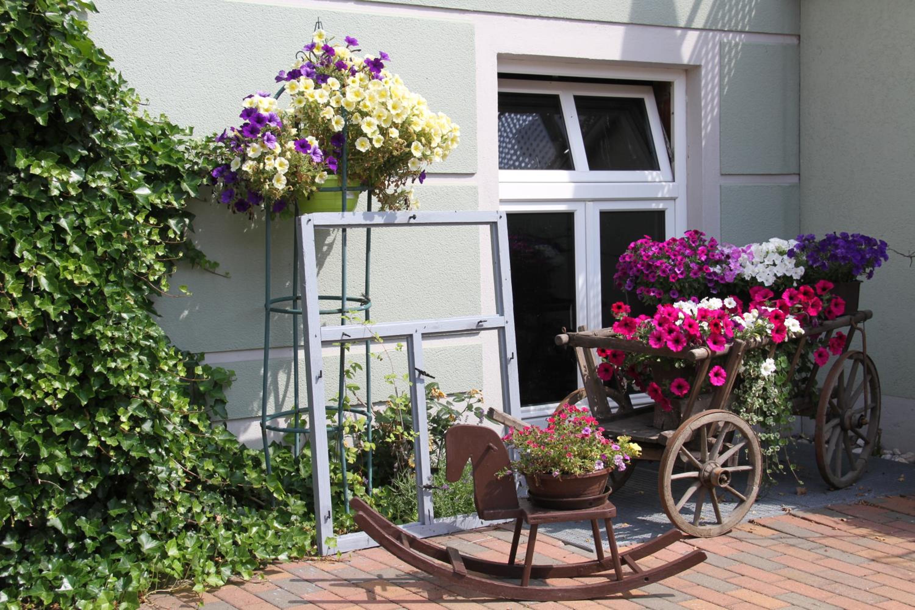 Zilks Landgasthof Zum Frauenstein - Property Image 27
