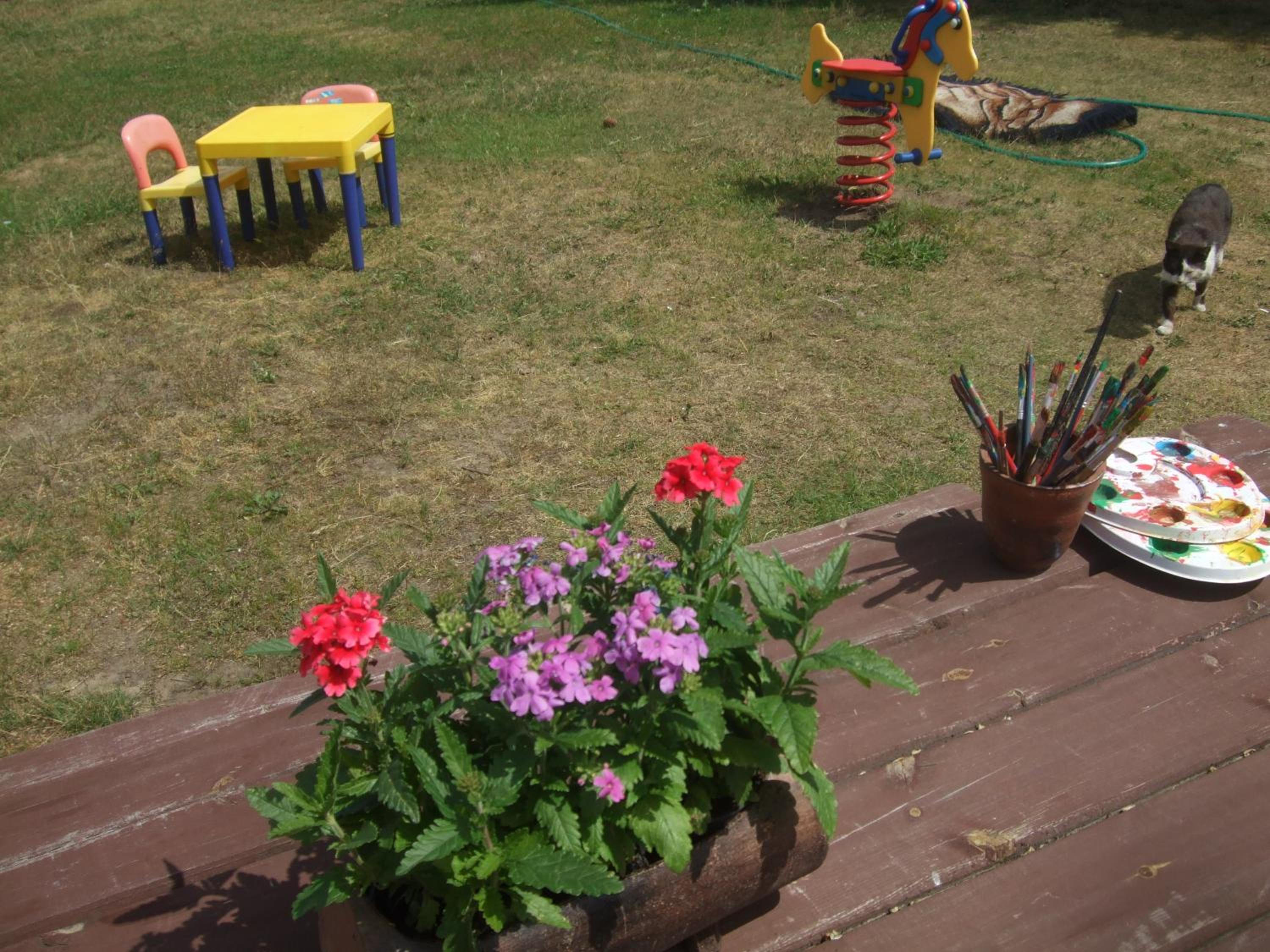 Photo 15