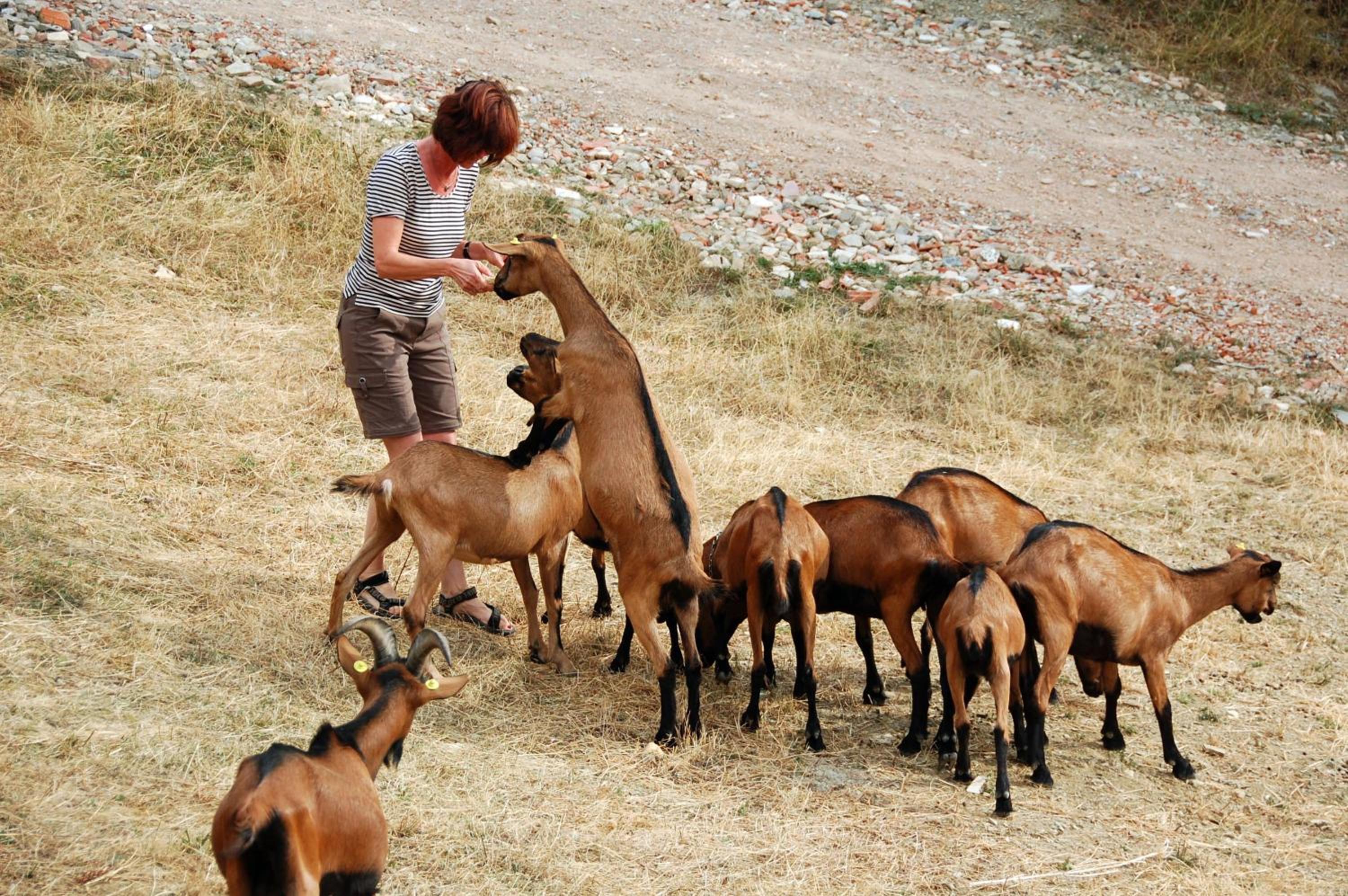 Agriturismo Casapasserini