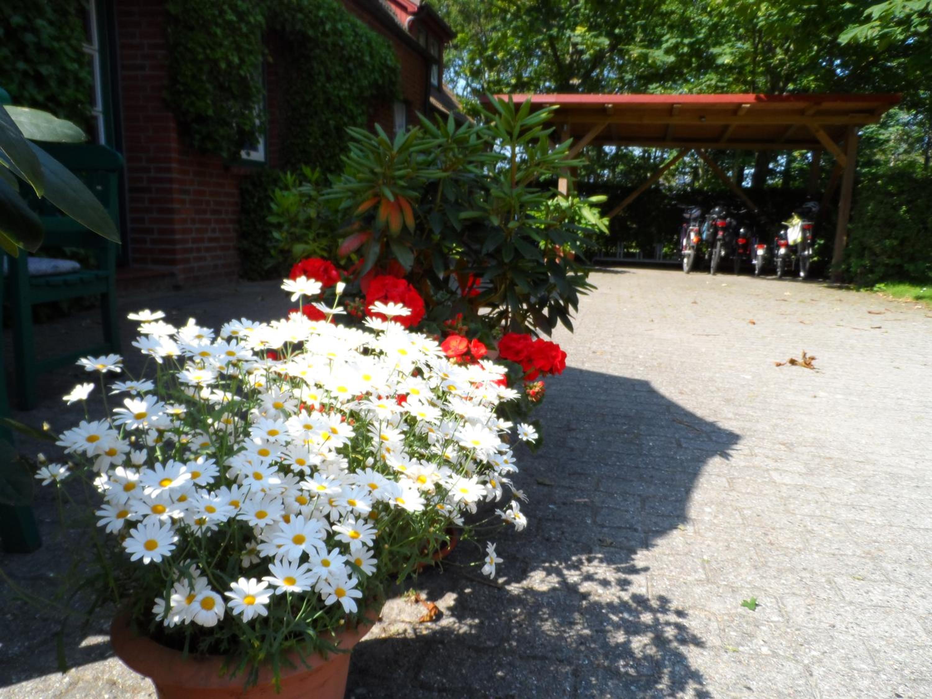 Photo 29