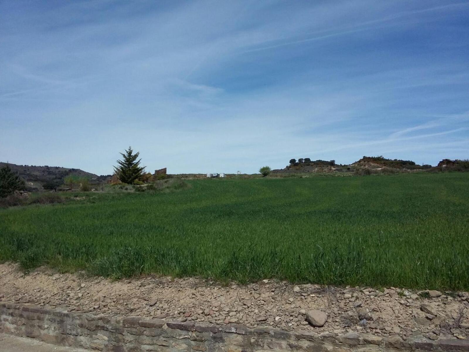 Photo 49