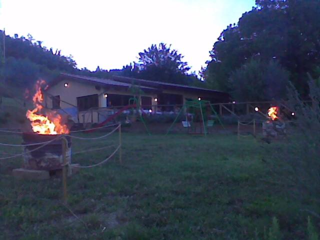 Photo 17