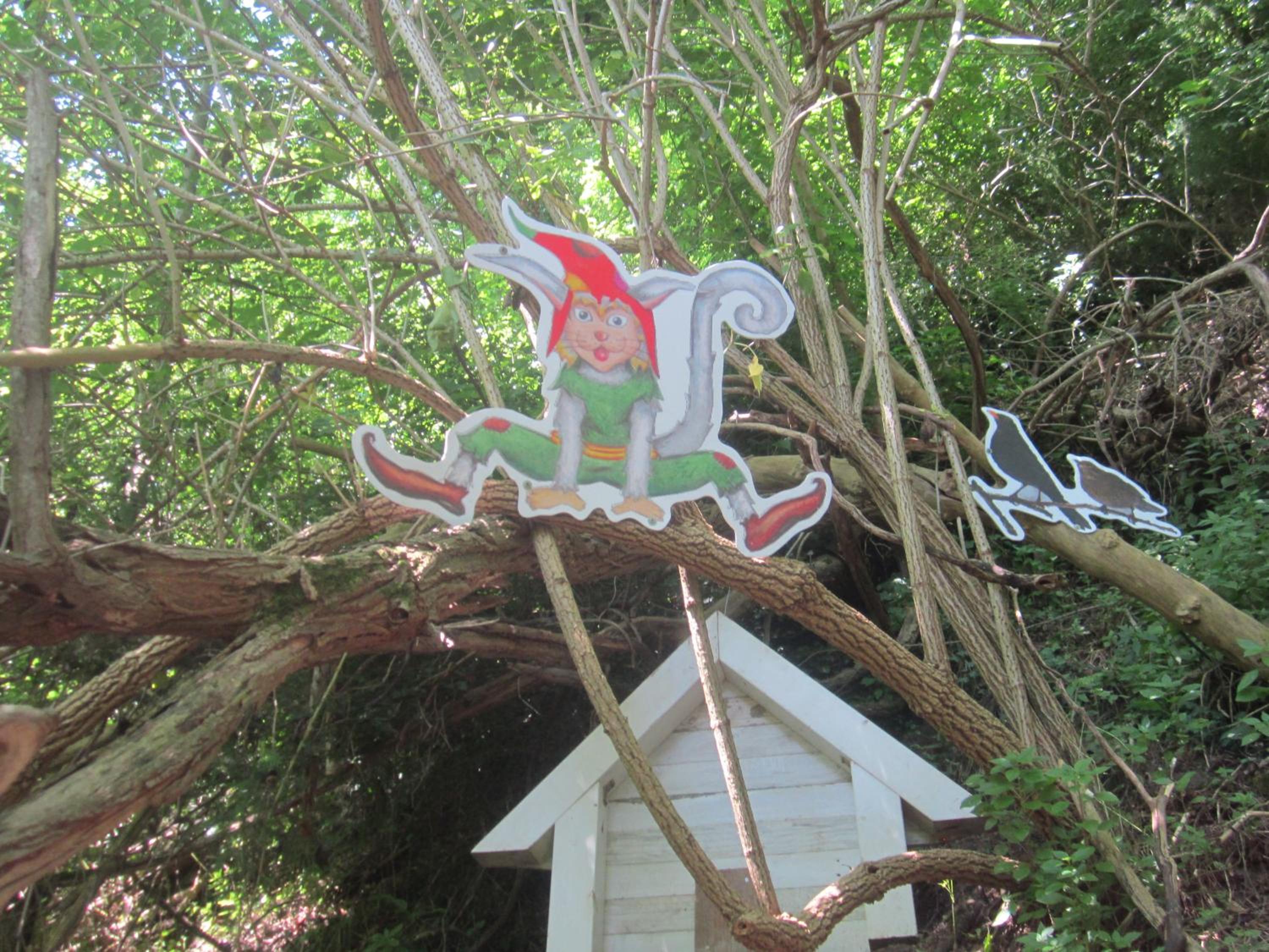 Photo 44