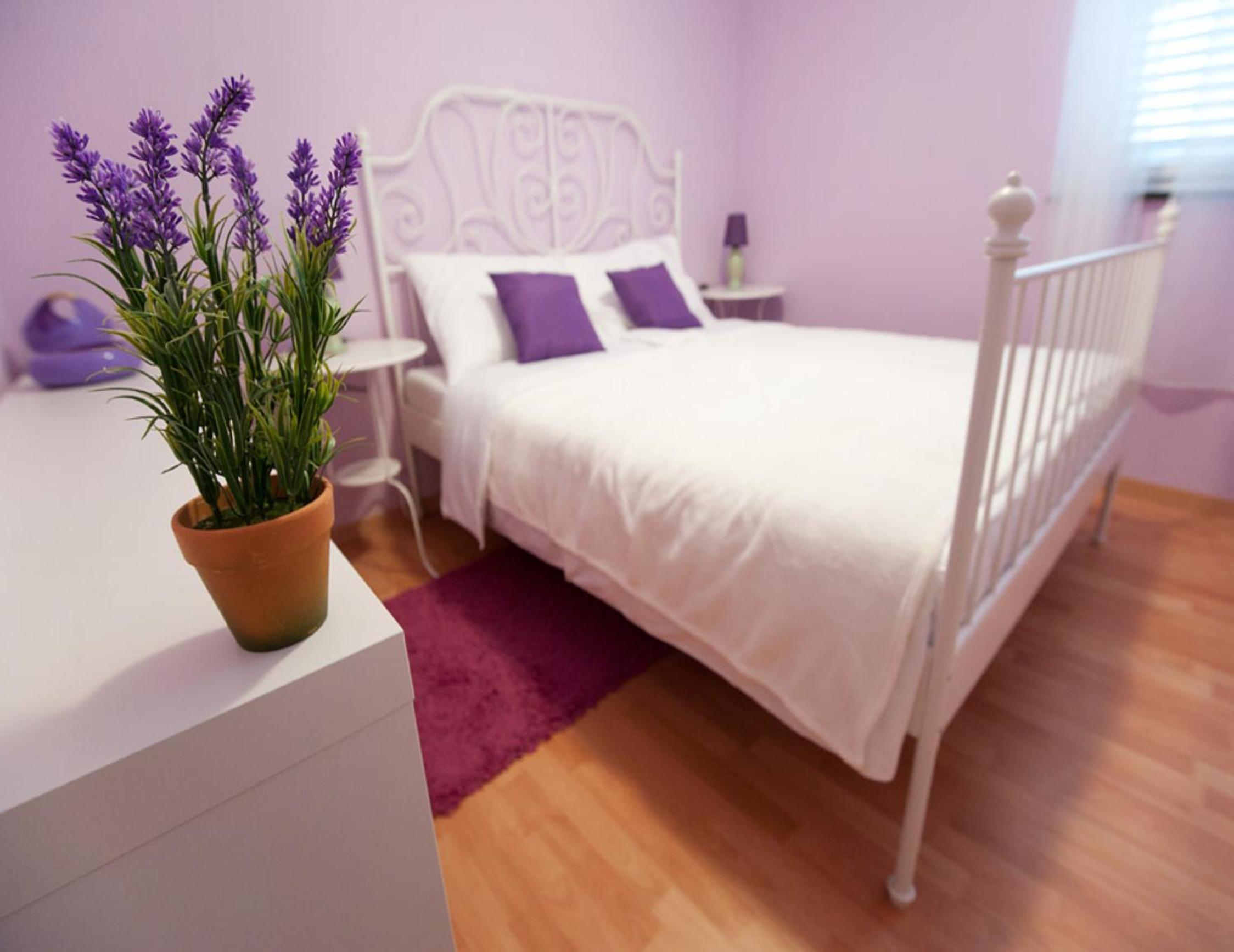Viola Apartment