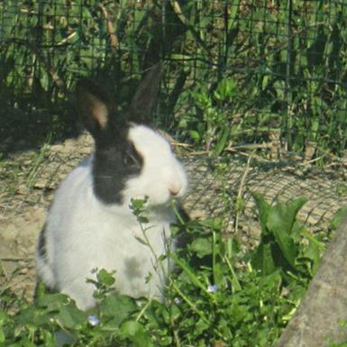 Photo 49