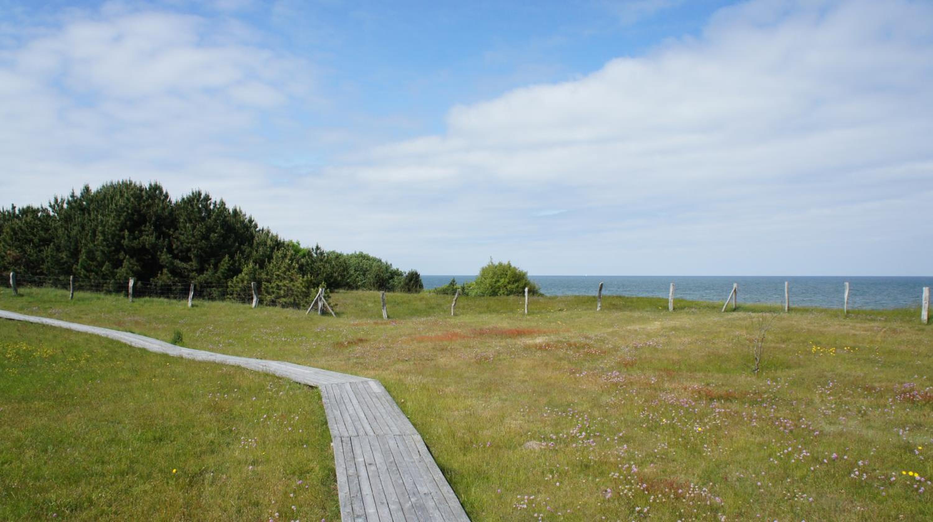 Photo 47