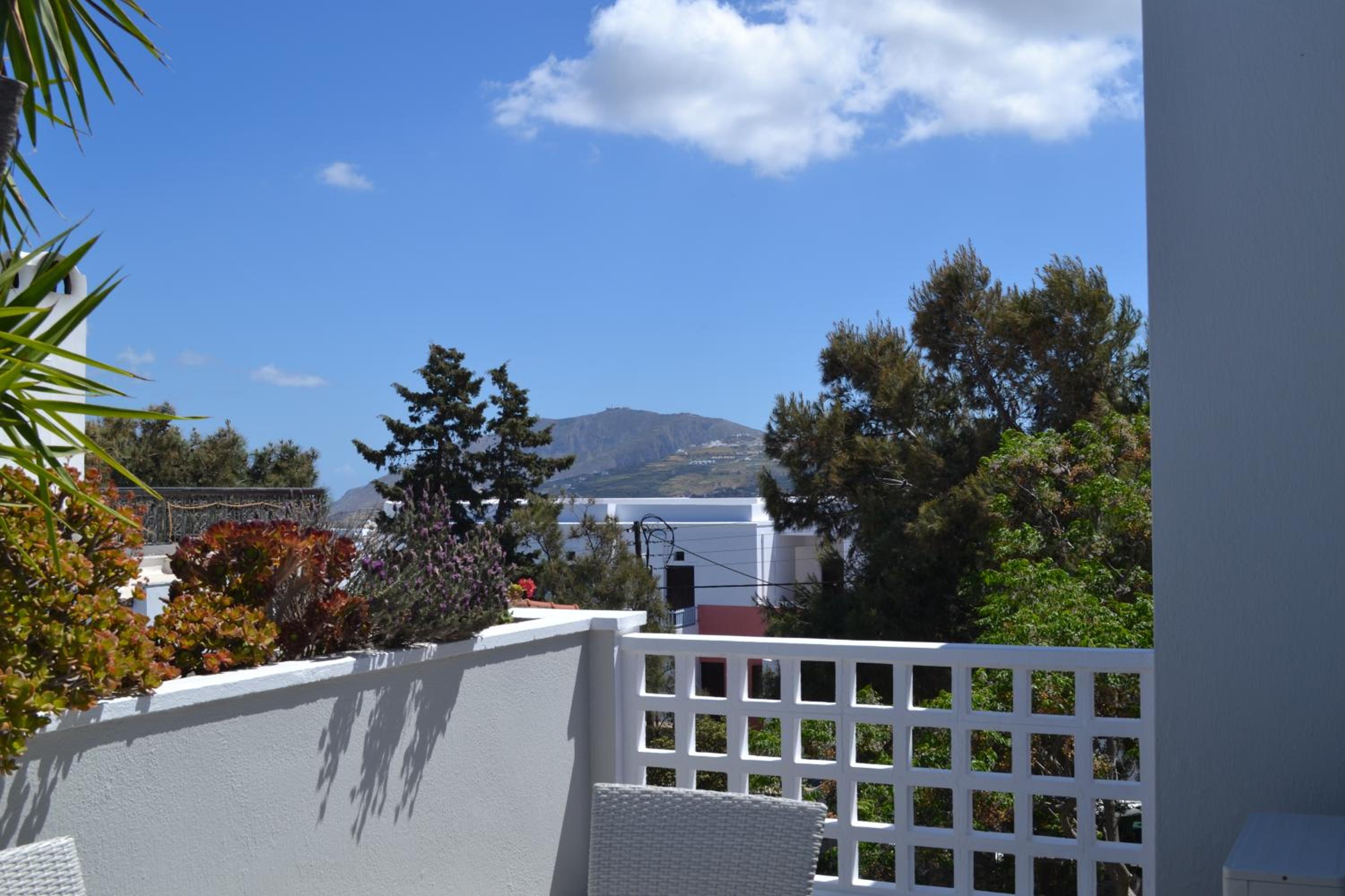 Atrium Villa photo 2