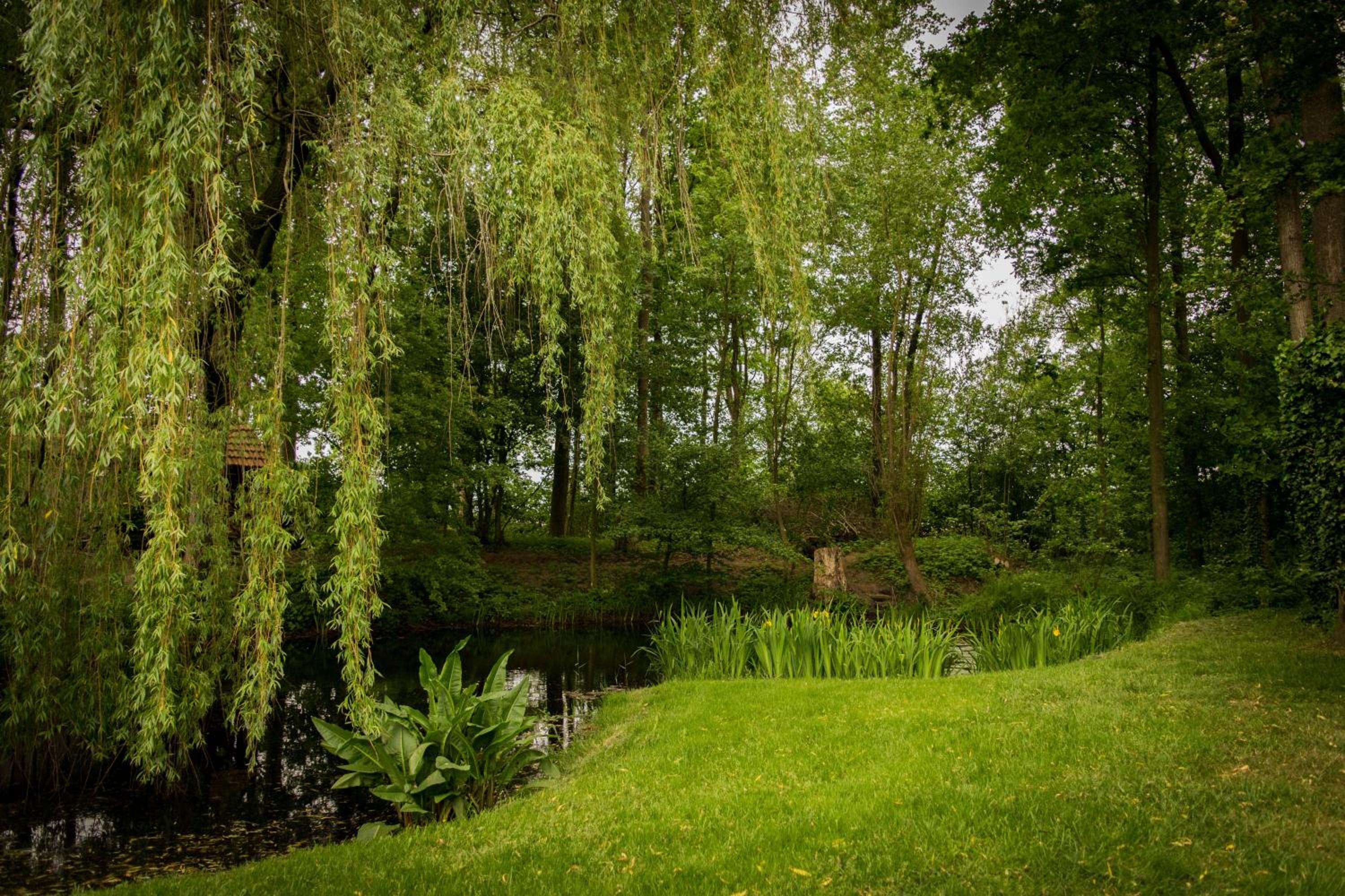 Thil's Bed and Breakfast view 3
