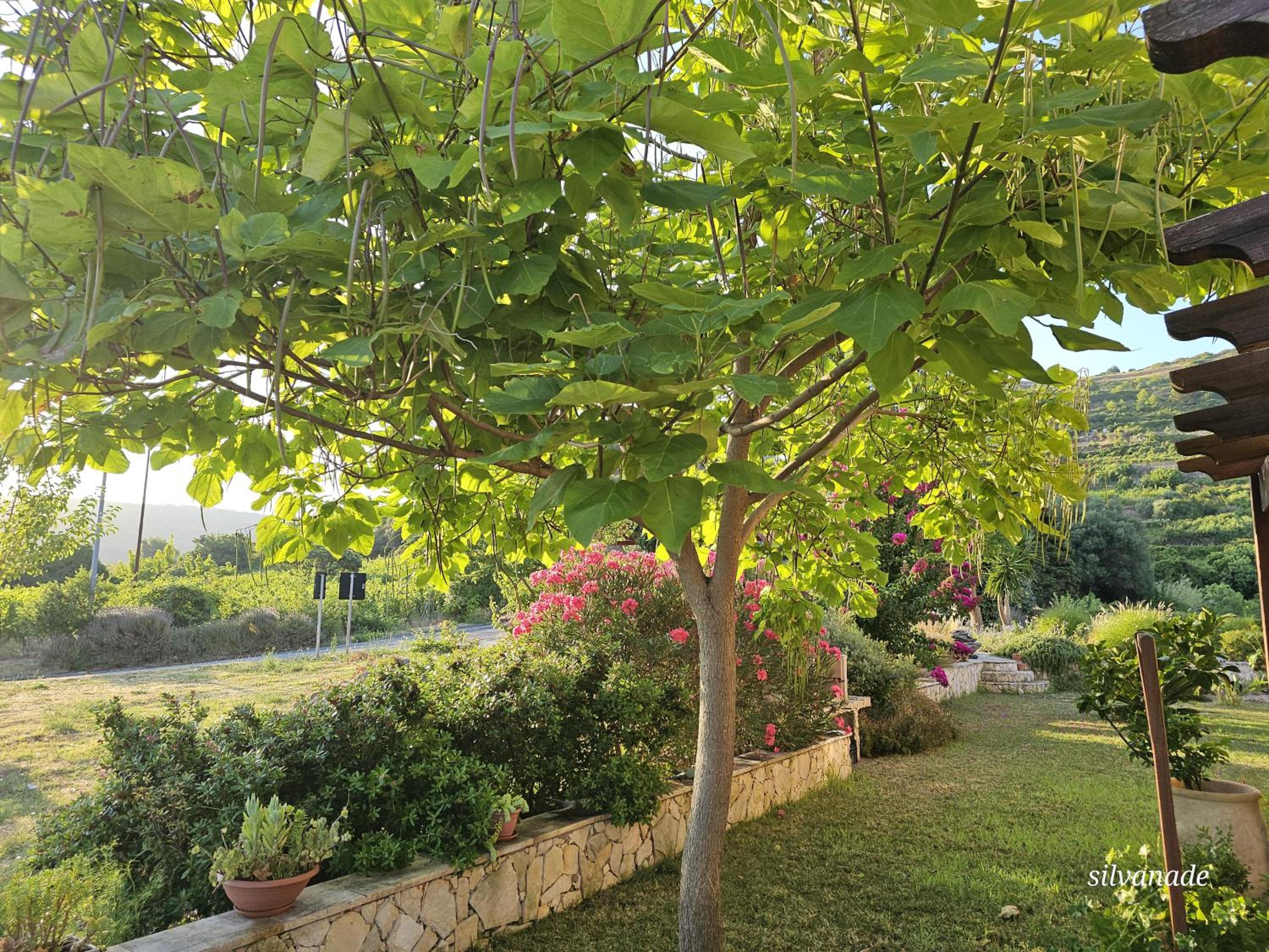 Il Castello di Modolo, photo 5
