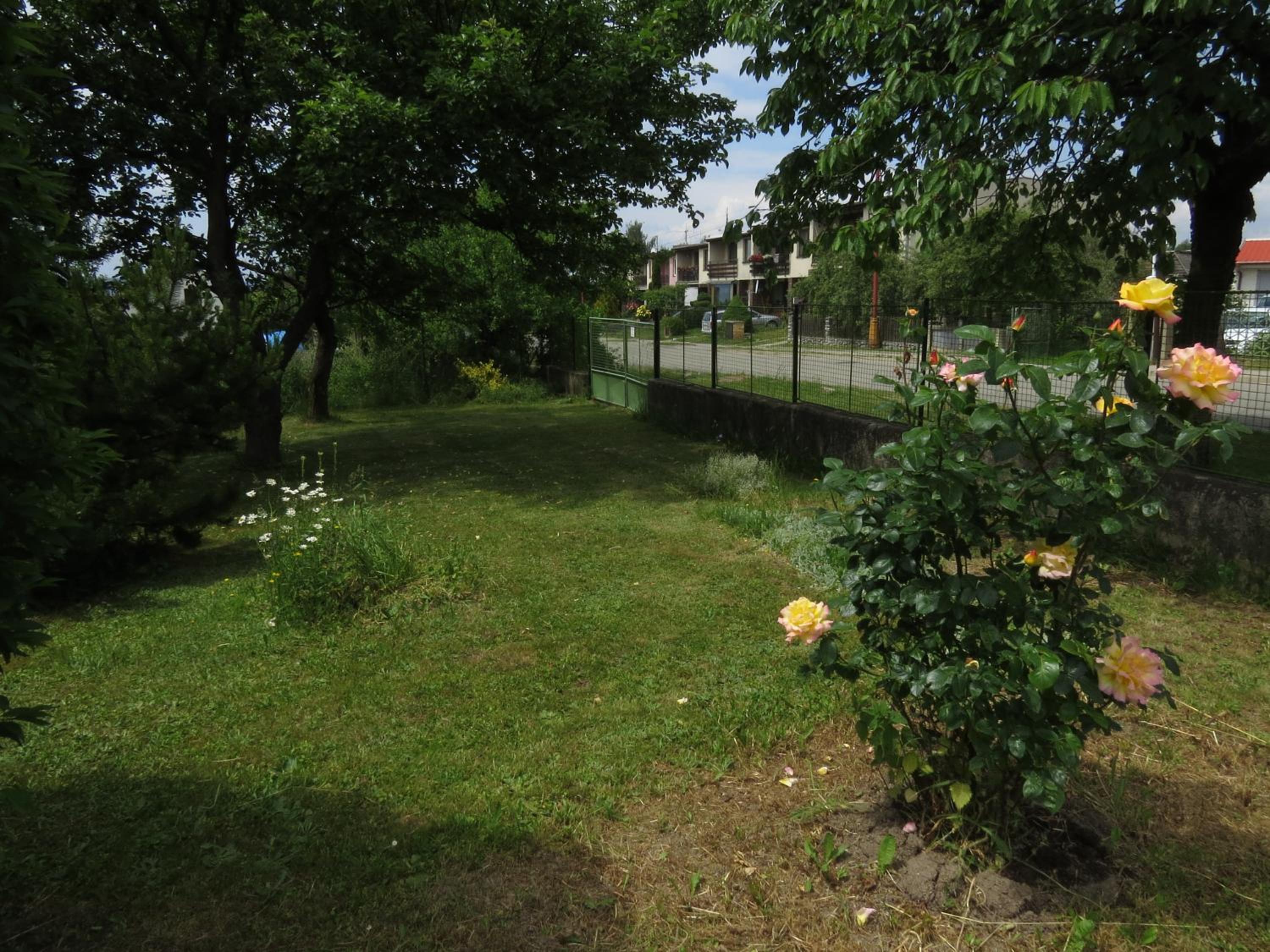 Photo 19