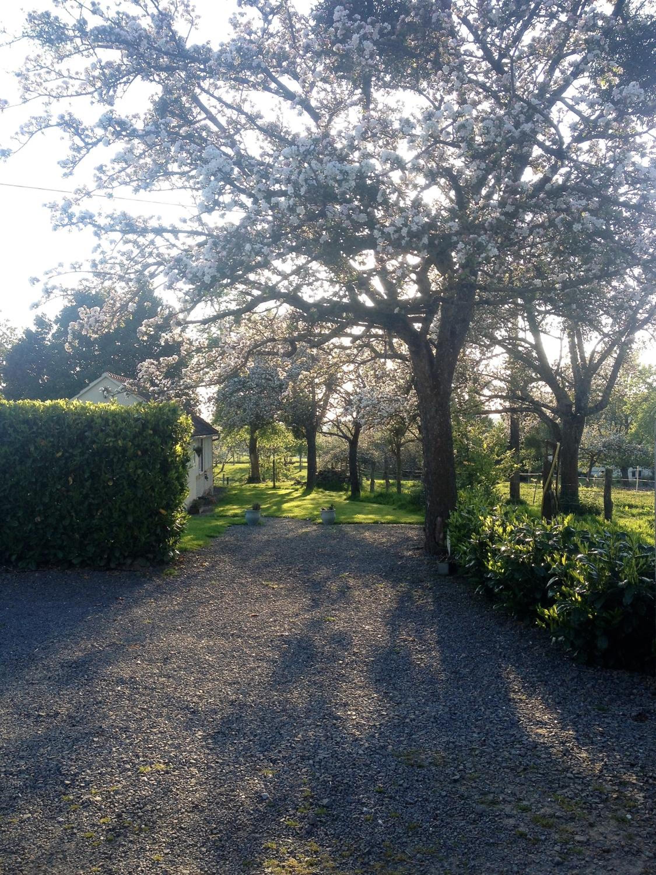 Photo 41