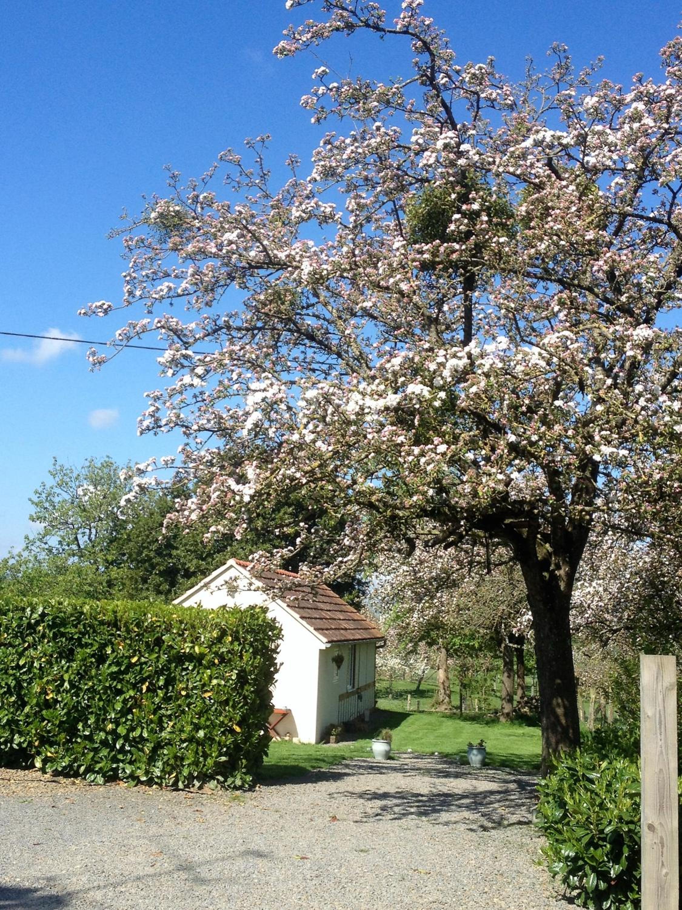 Photo 7