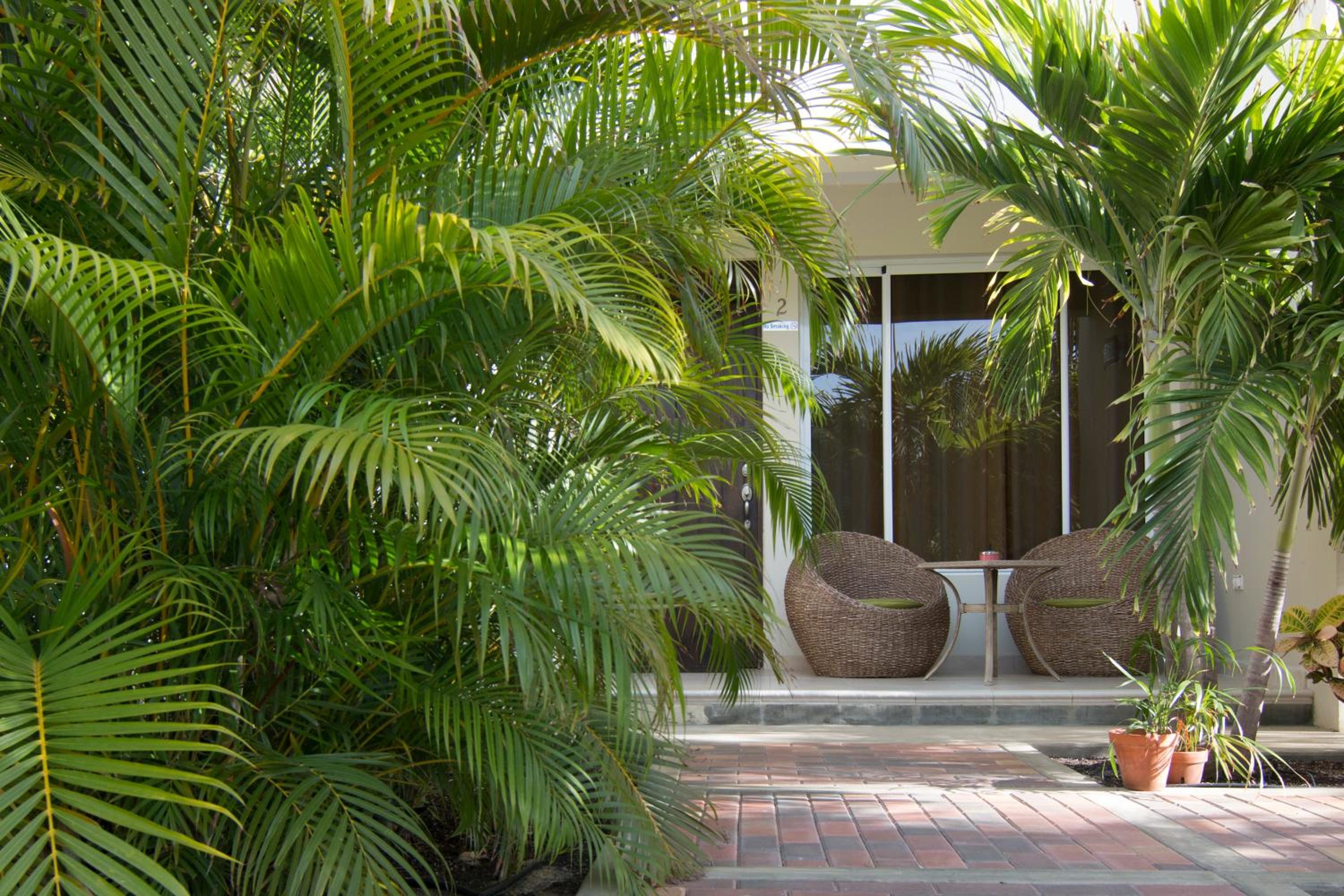 Costa Esmeralda Village