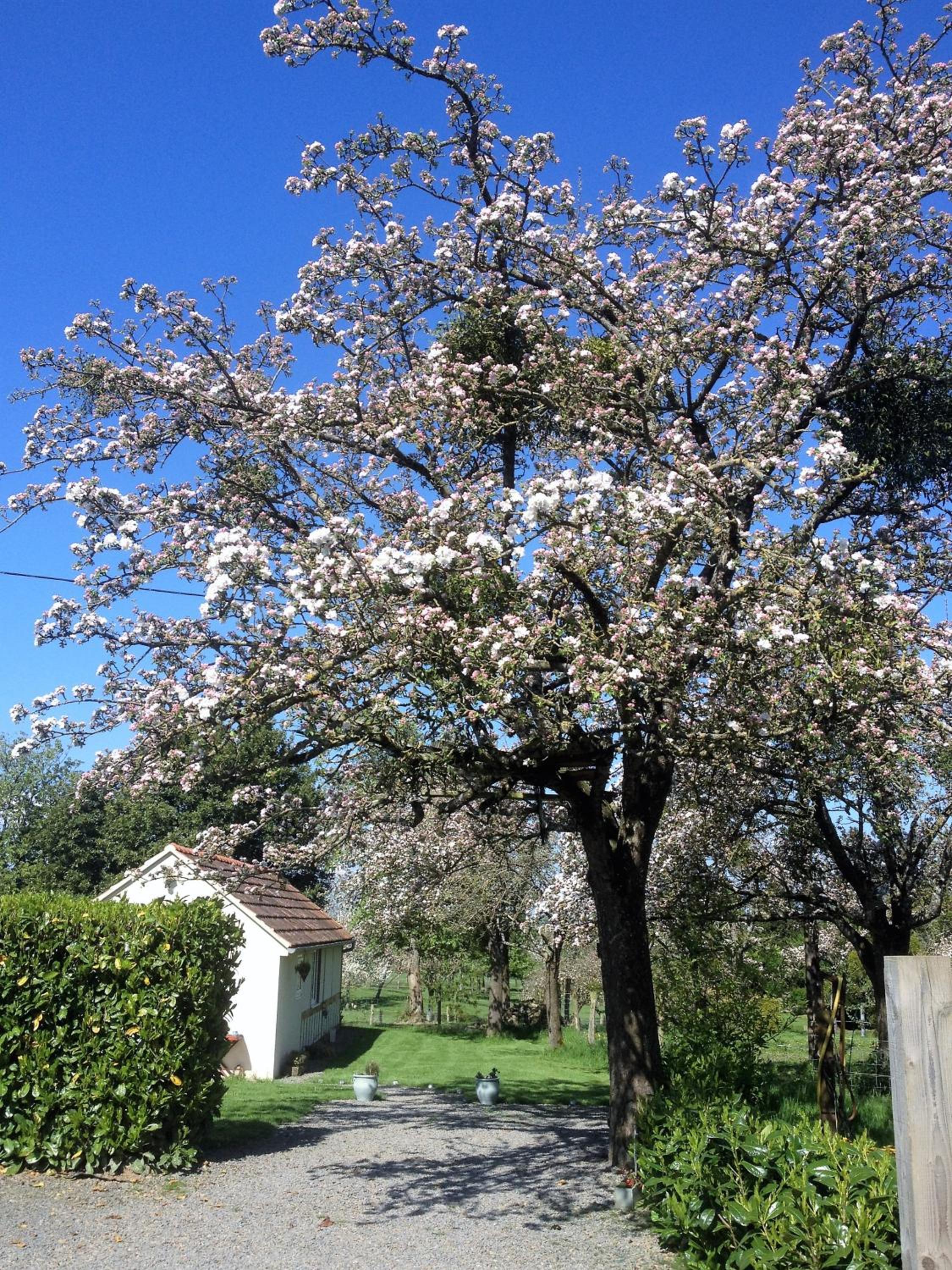 Photo 14
