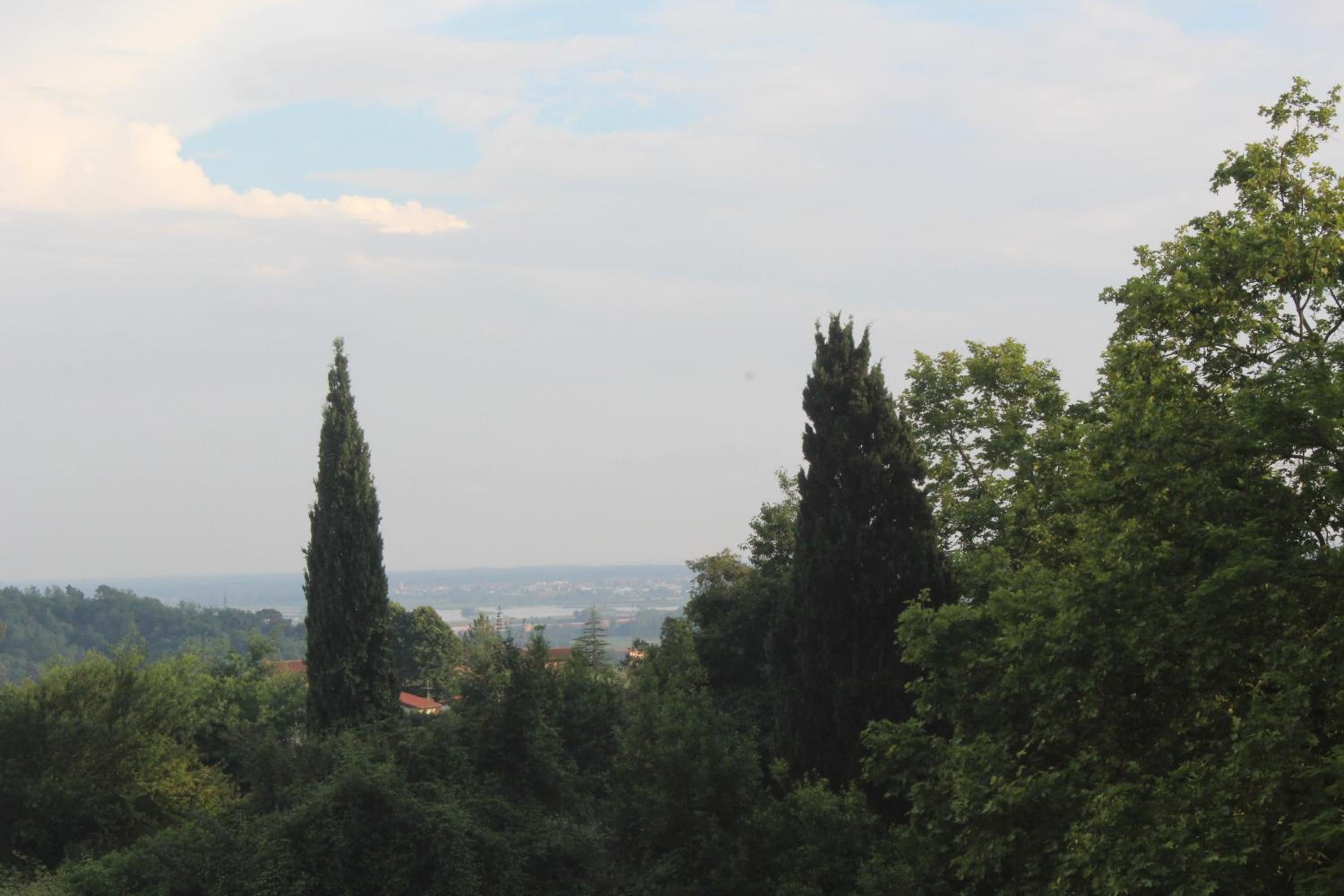 Photo 34