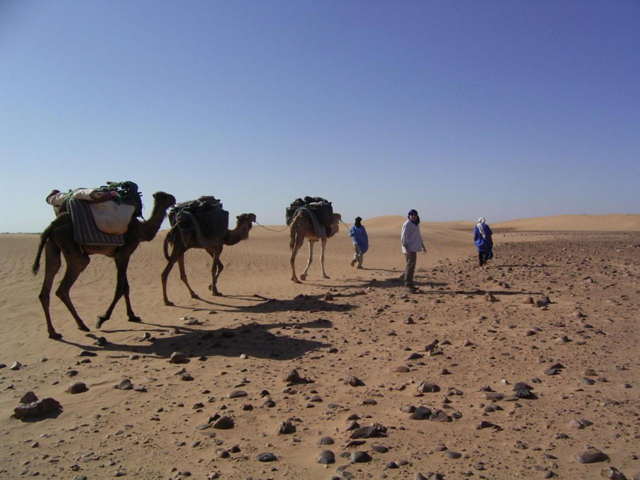 Fibule Du Draa Kasbah D'hôtes