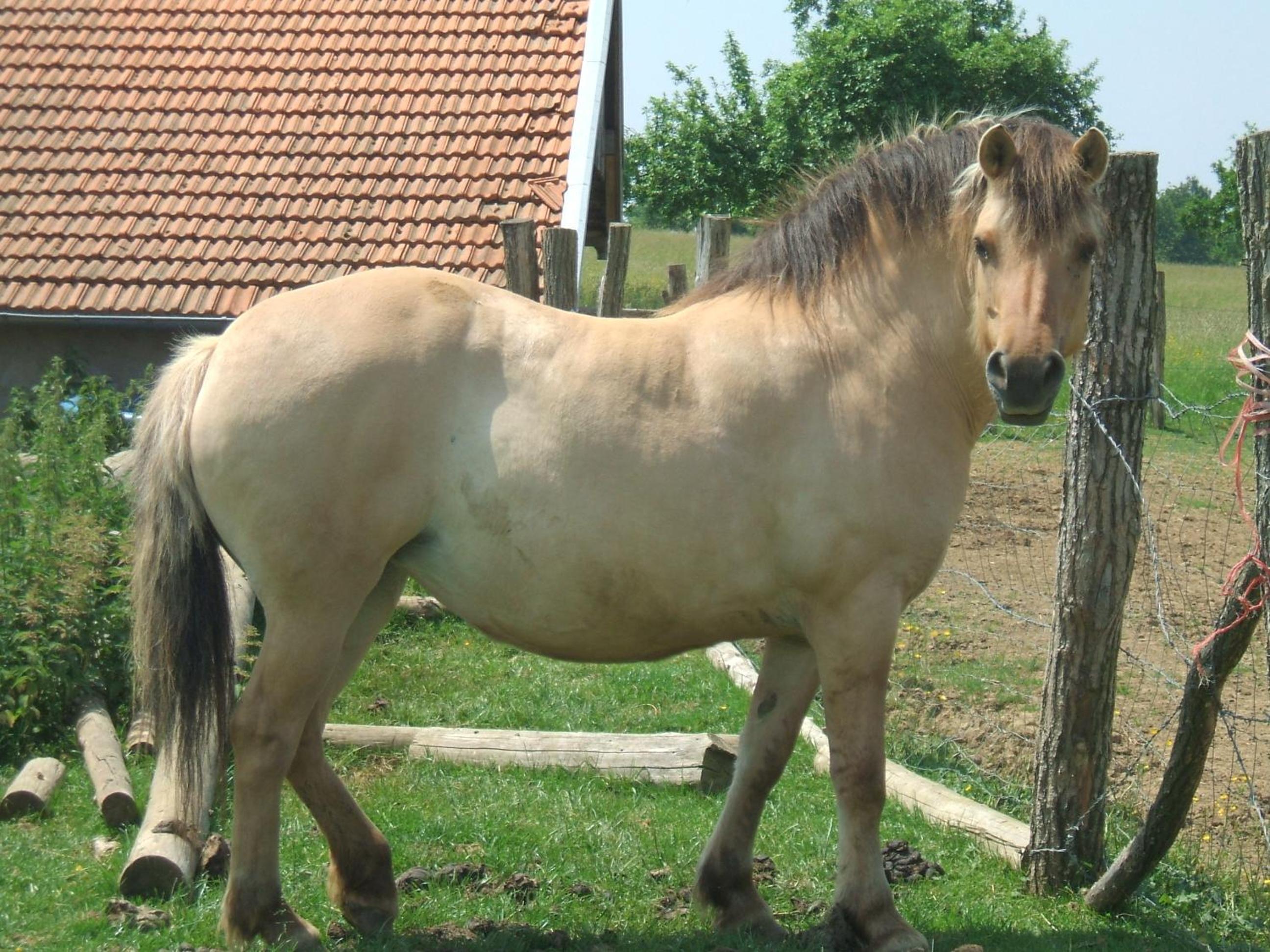 La Ferme des 3 Suissesses