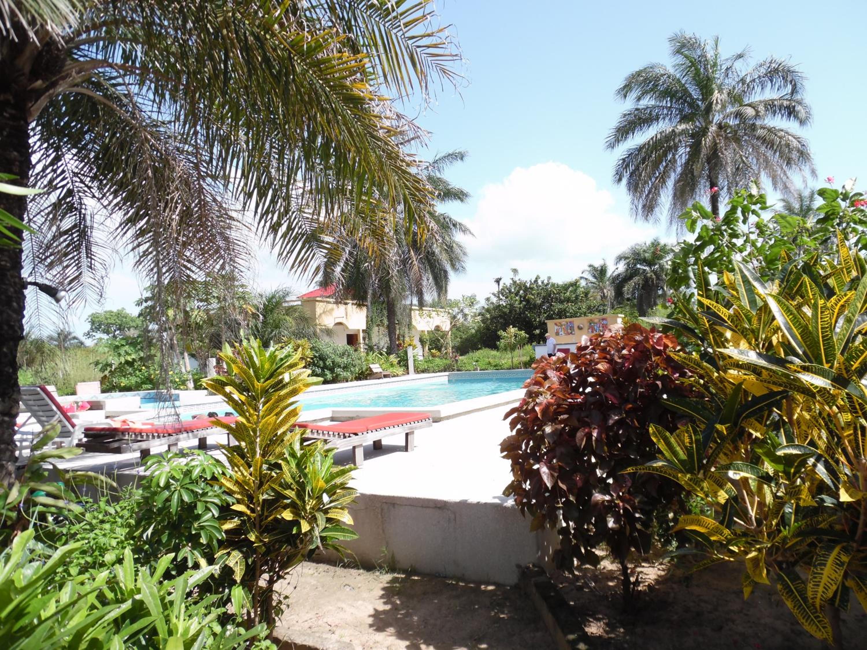 Photo 44