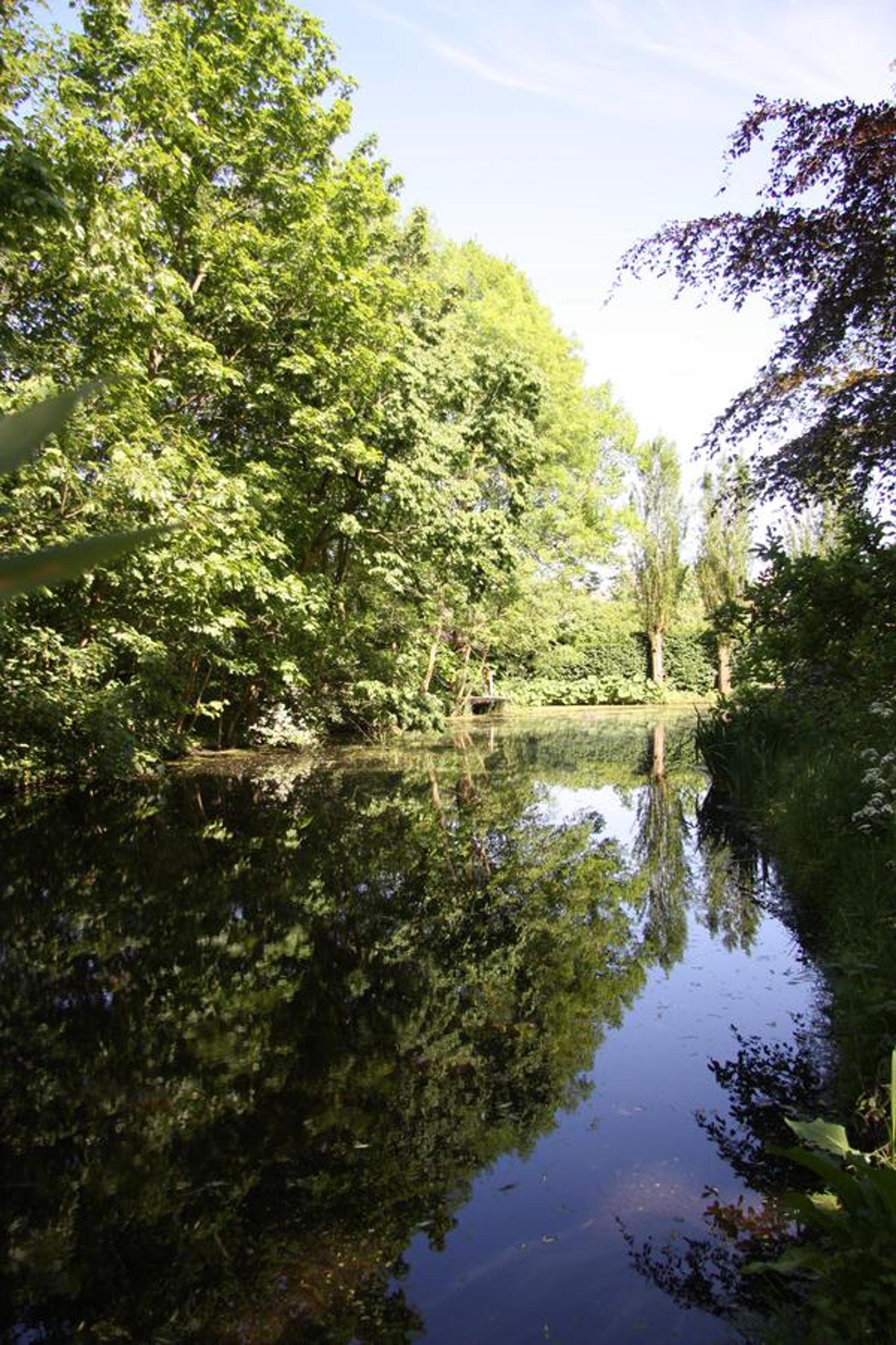 Photo 40