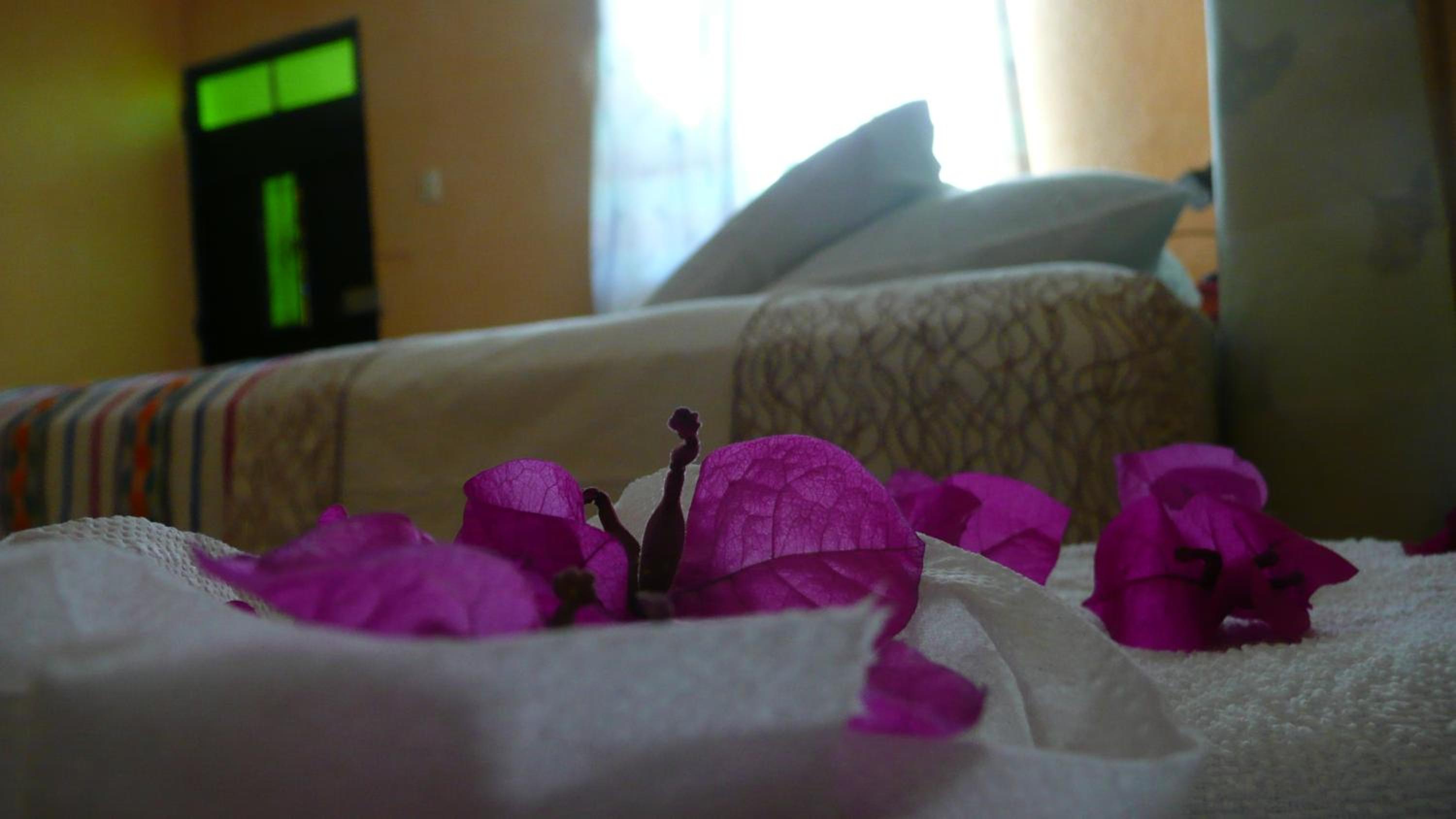 Maison Bougainvillea