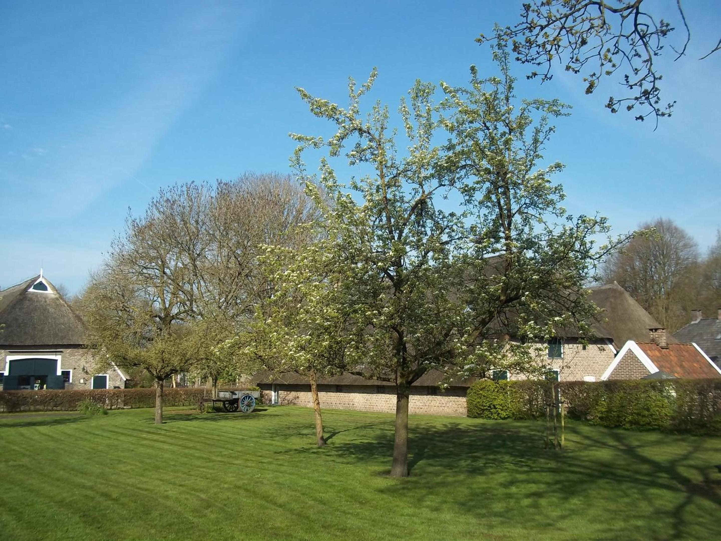 B&B Slaoperij view 5