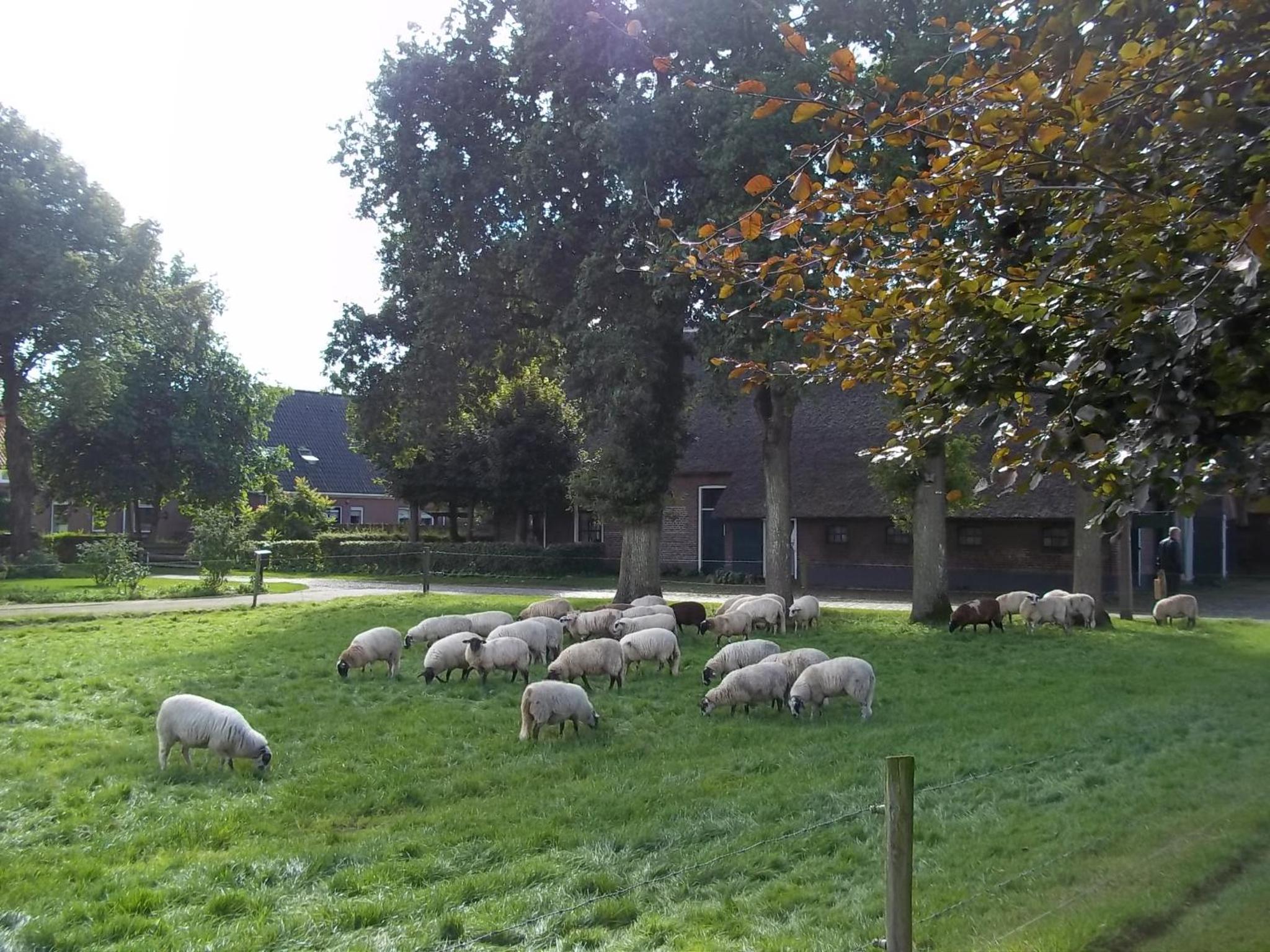 B&B Slaoperij view 3