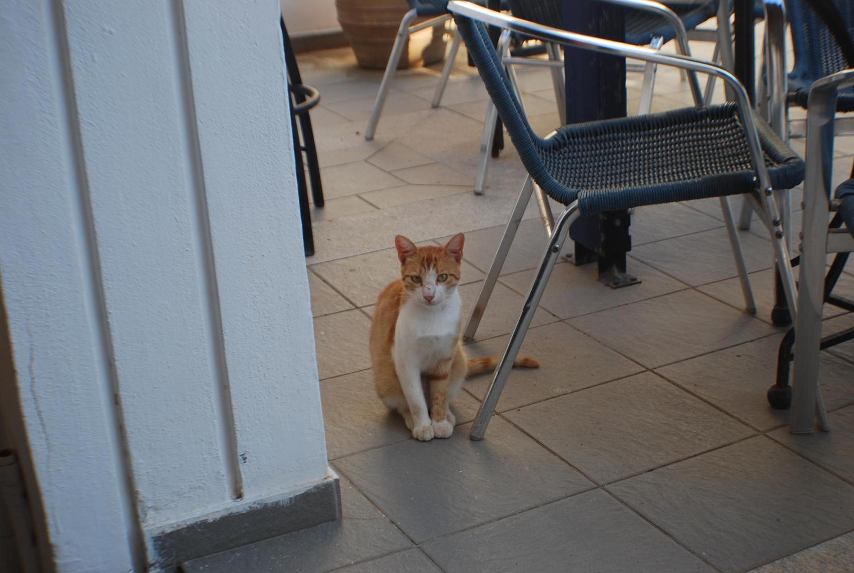 Photo 30