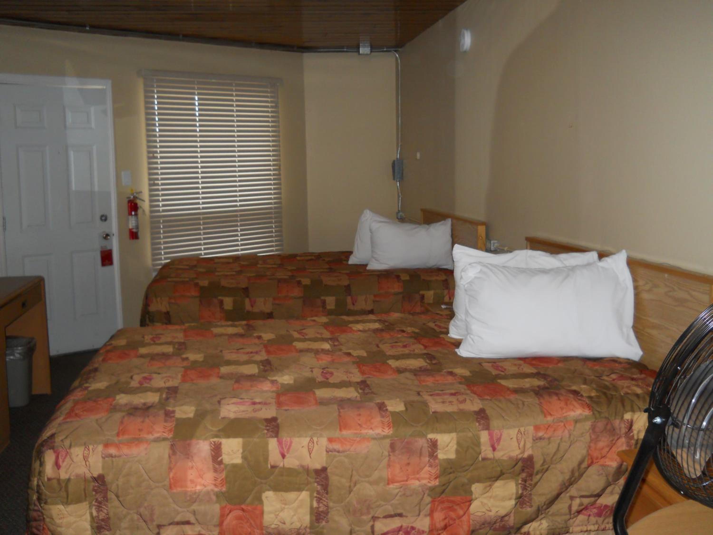 Photo 44