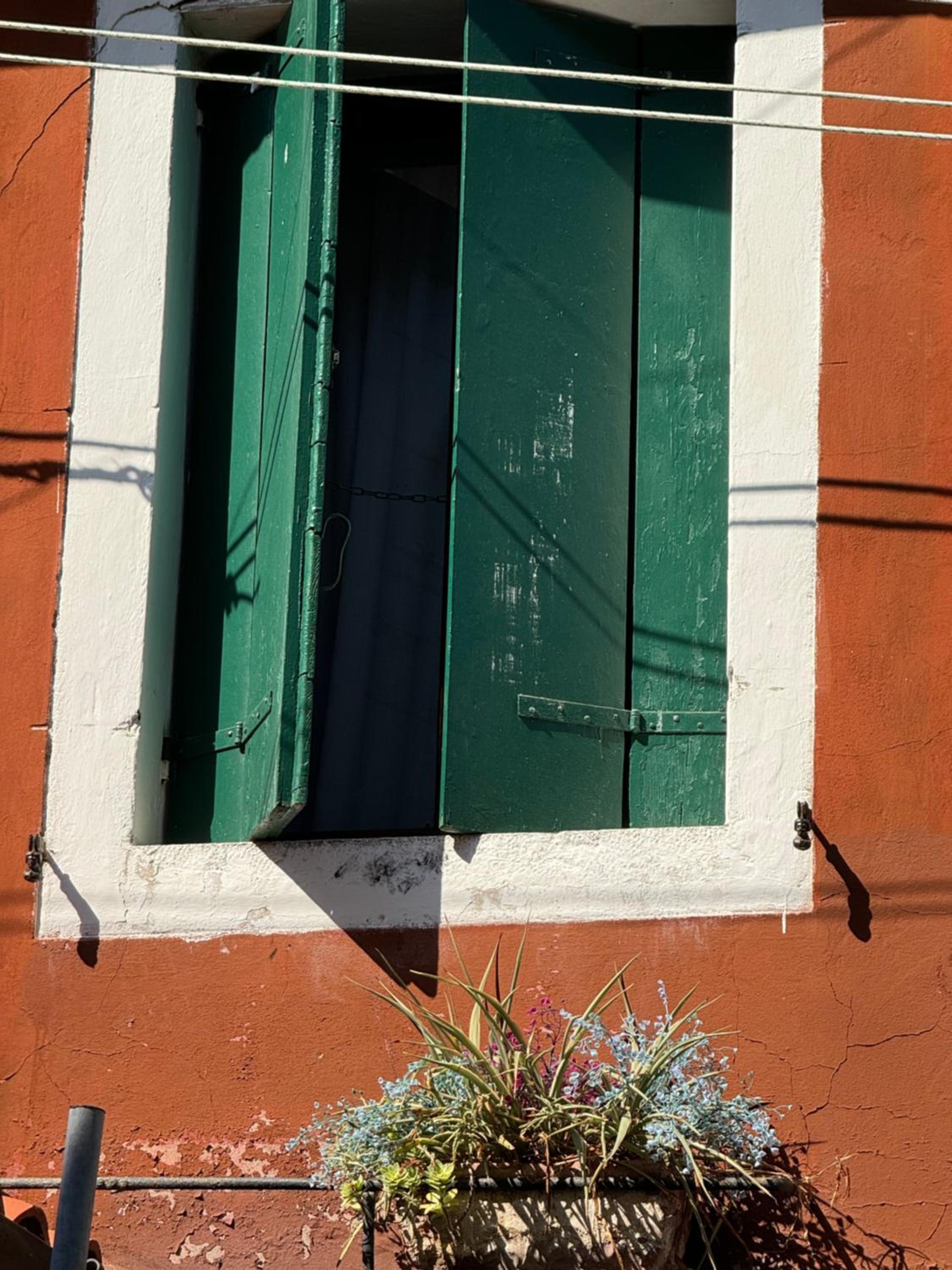 Something else in Venice Kingsclass