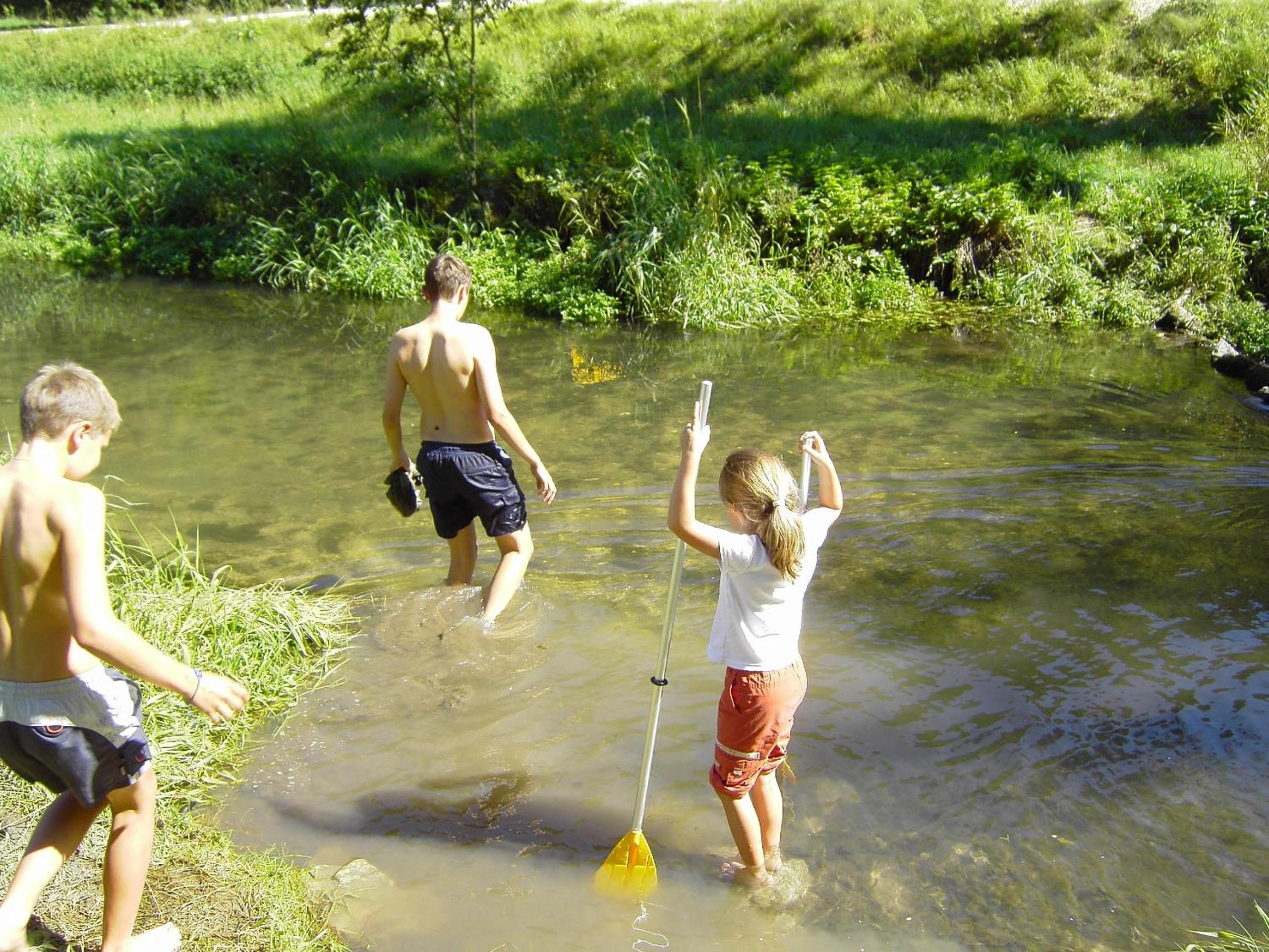 Ferienwohnungen Holder, Bilde 68